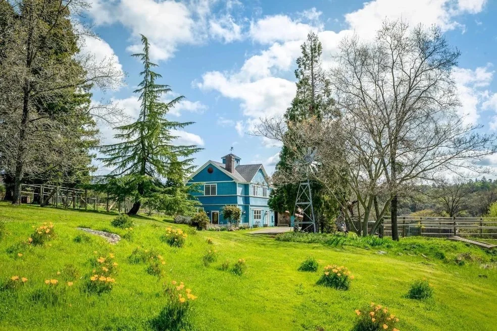 A blue house in a lush green landscape surrounded by trees and a windmill, under a partly cloudy sky.