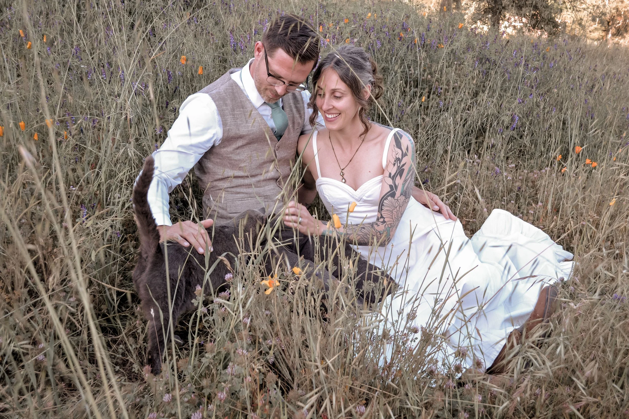 A man and woman sitting in a grassy field with wildflowers, interacting with a dog. They are smiling and appear happy.