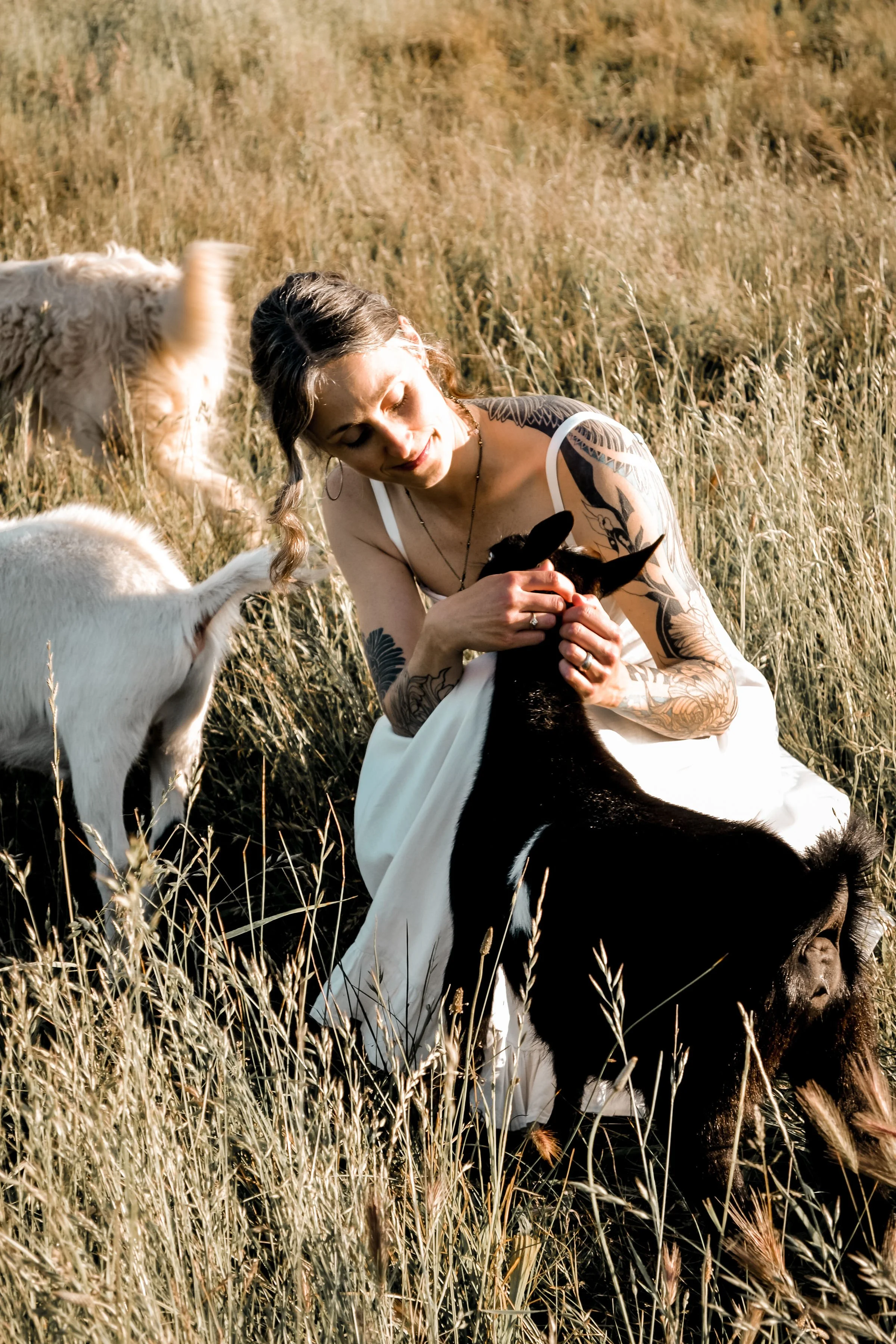 A woman with tattoos sitting in a field with goats, holding a black and white goat and surrounded by tall grass during sunset.