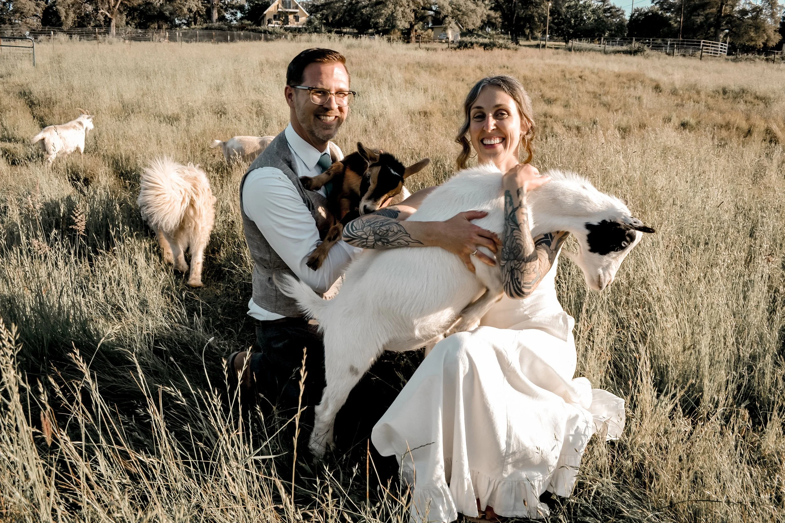 A smiling man and woman sitting in a field of tall grass, holding a goat. There are other goats grazing in the background, with trees and houses under a clear sky.