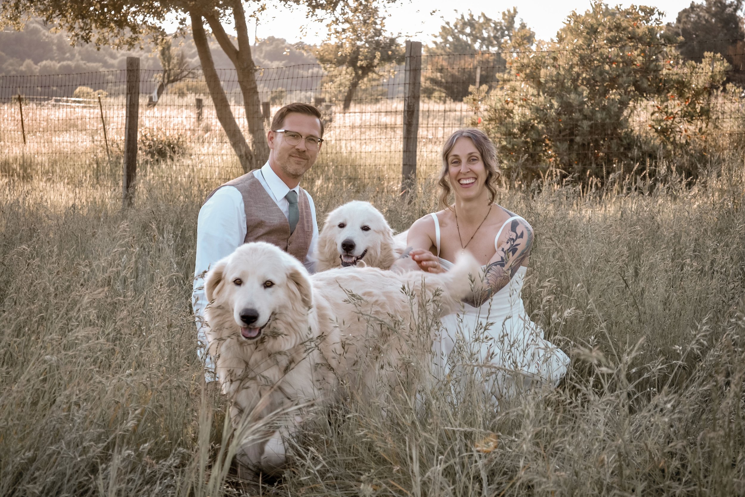 A couple sitting on a grassy field with three golden retrievers, trees, and a fence in the background during sunset.