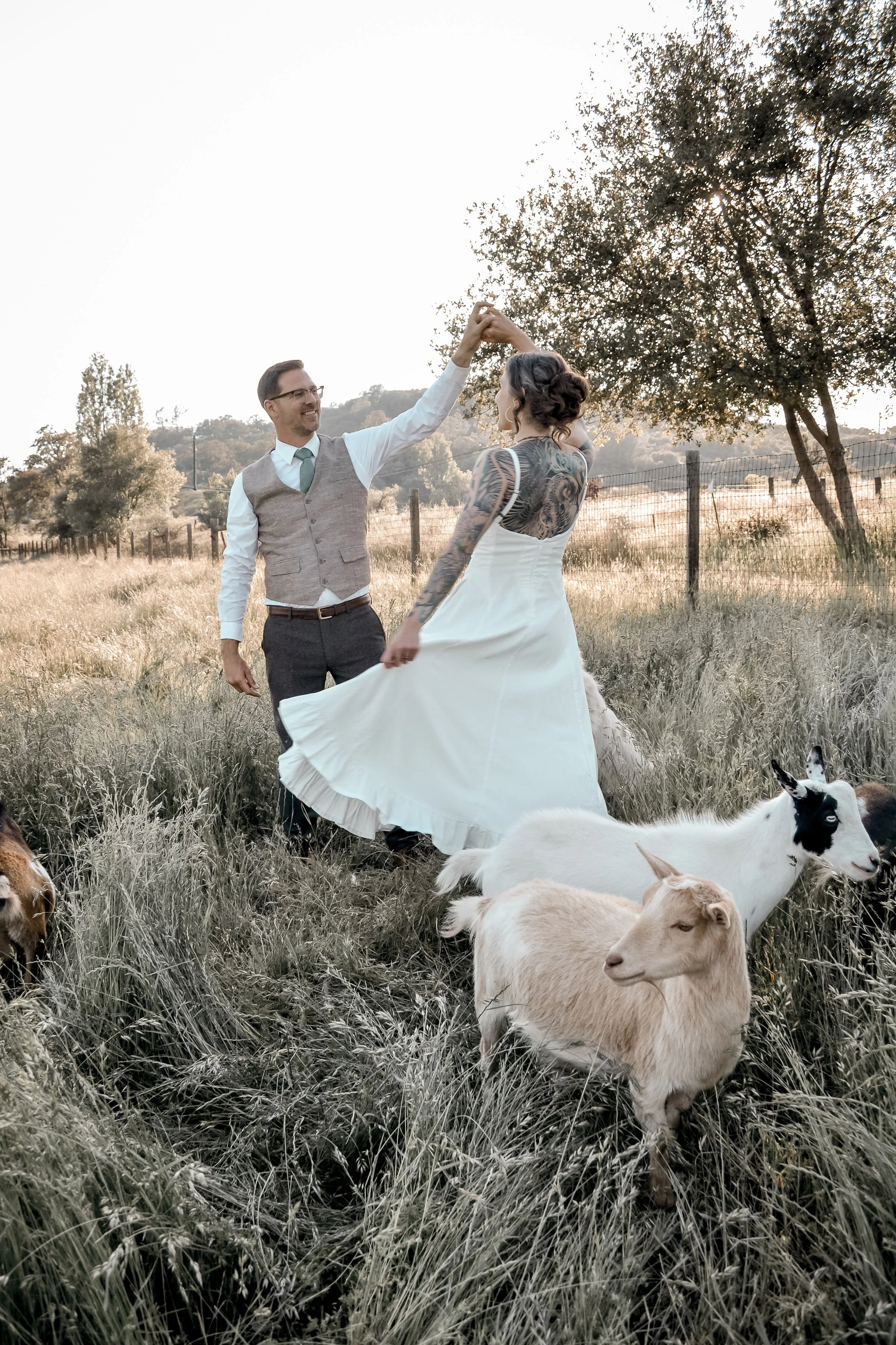 A man and woman dancing in a grassy field surrounded by goats, with trees and a fence in the background.
