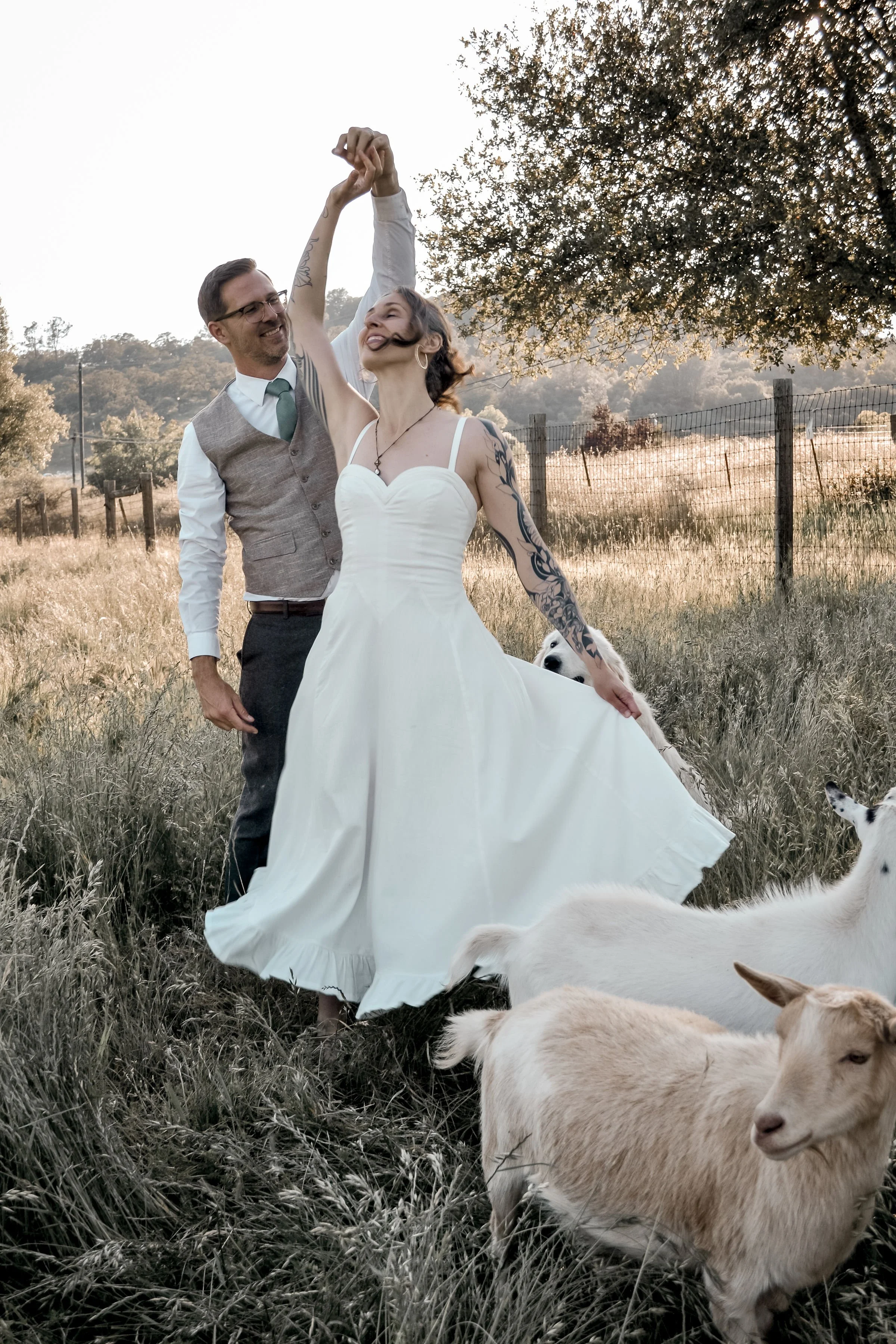 A newlywed couple dancing outdoors in a grassy field with goats nearby, with a background of trees and a wooden fence, under a cloudy sky.