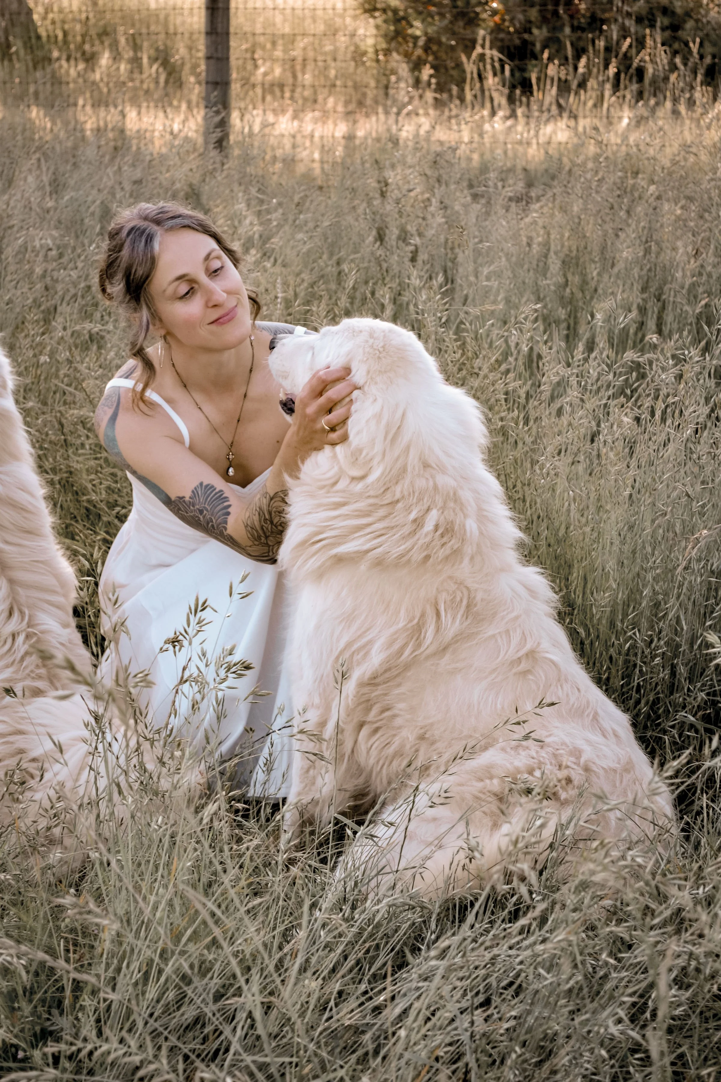 A woman with tattoos on her arm, wearing a white dress, is sitting in a field of tall grass with a golden retriever puppy. They are outdoors during sunset or late afternoon.