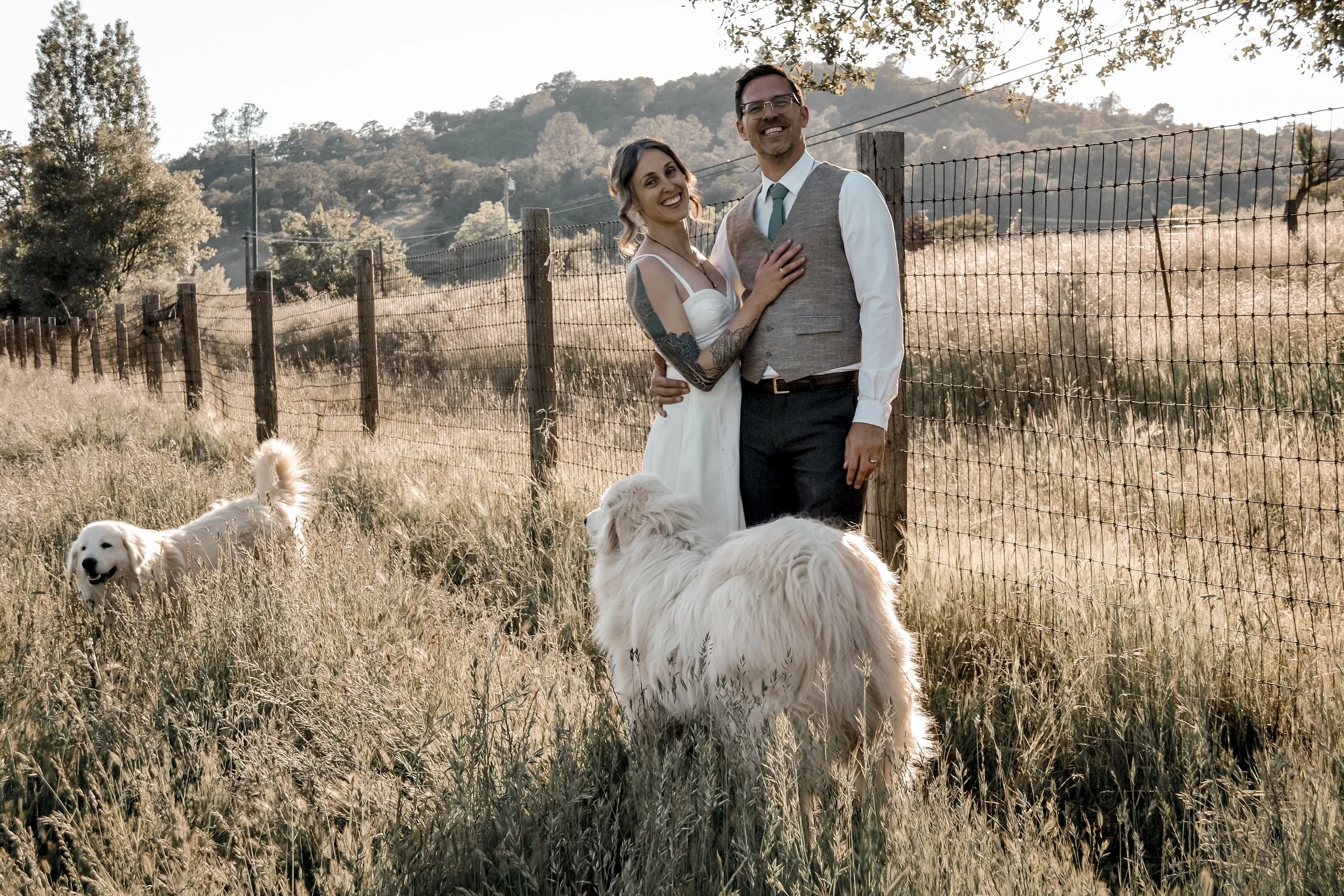 A happy couple dressed in wedding attire standing in a field of tall grass with two Golden Retrievers near them, behind a wooden fence with a scenic hilly landscape in the background.