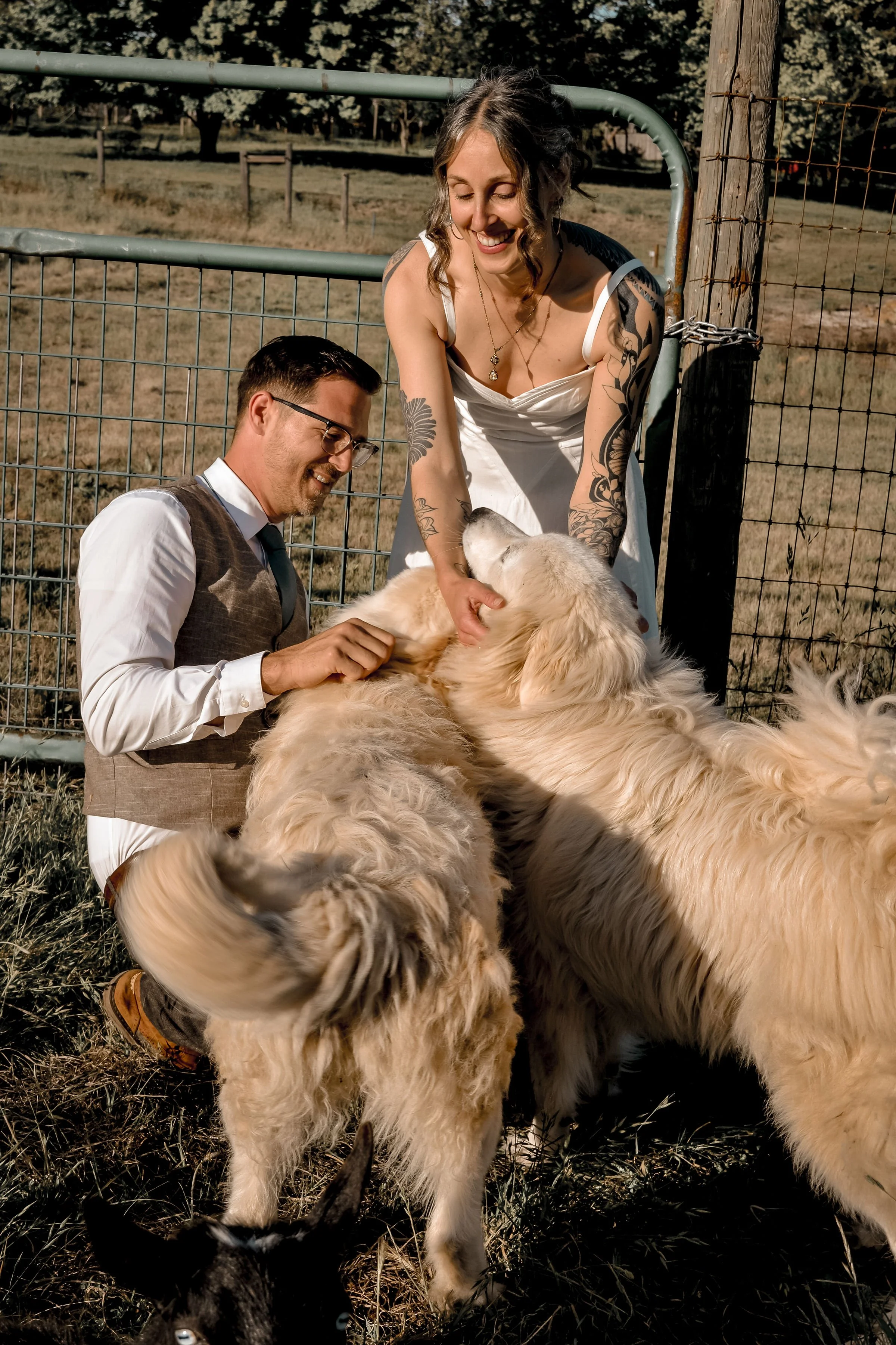 A woman with tattoos and a man with glasses petting a large golden retriever dog in a fenced outdoor area with dry grass and trees in the background.