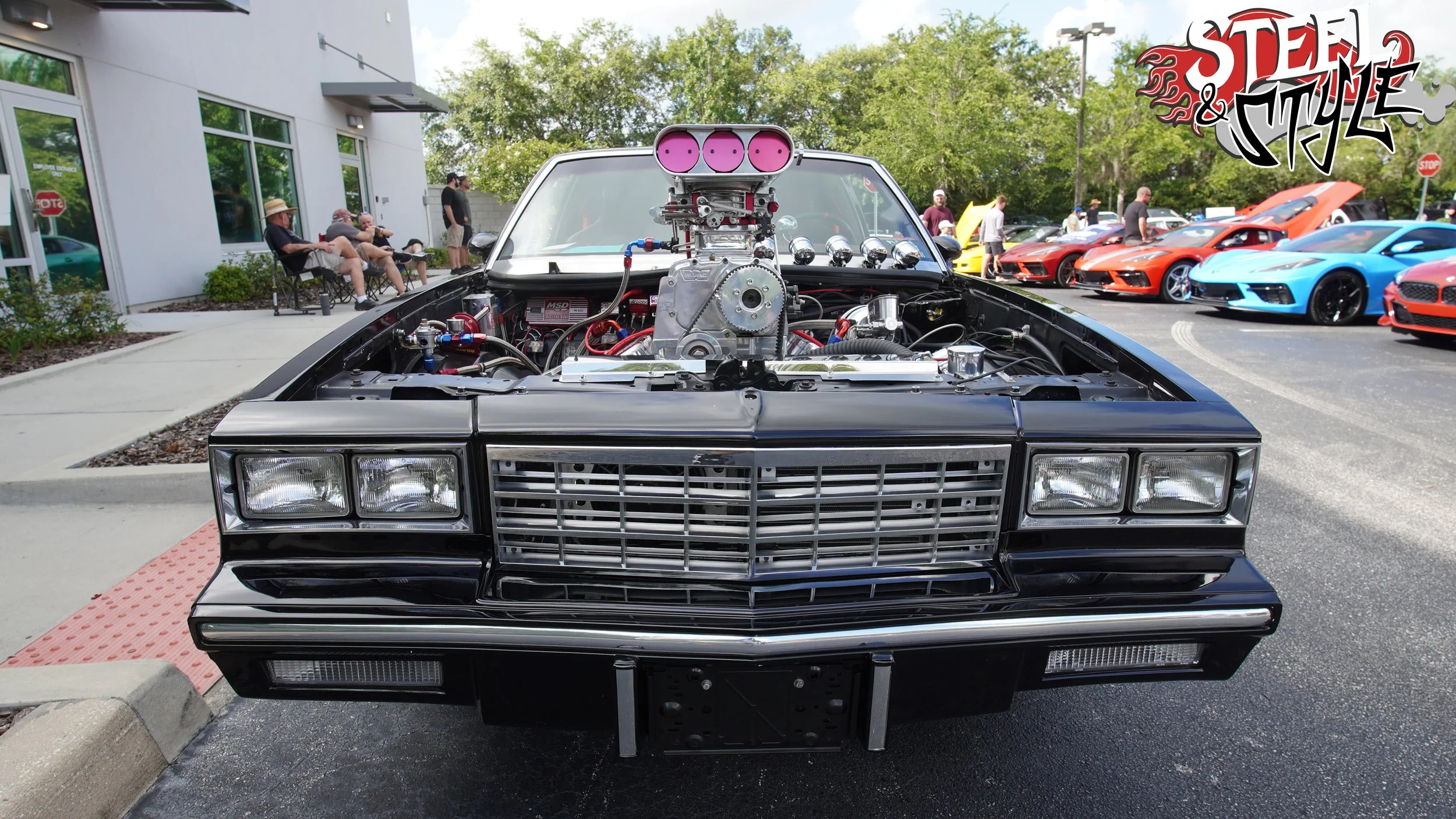 DSC08017.jpg
