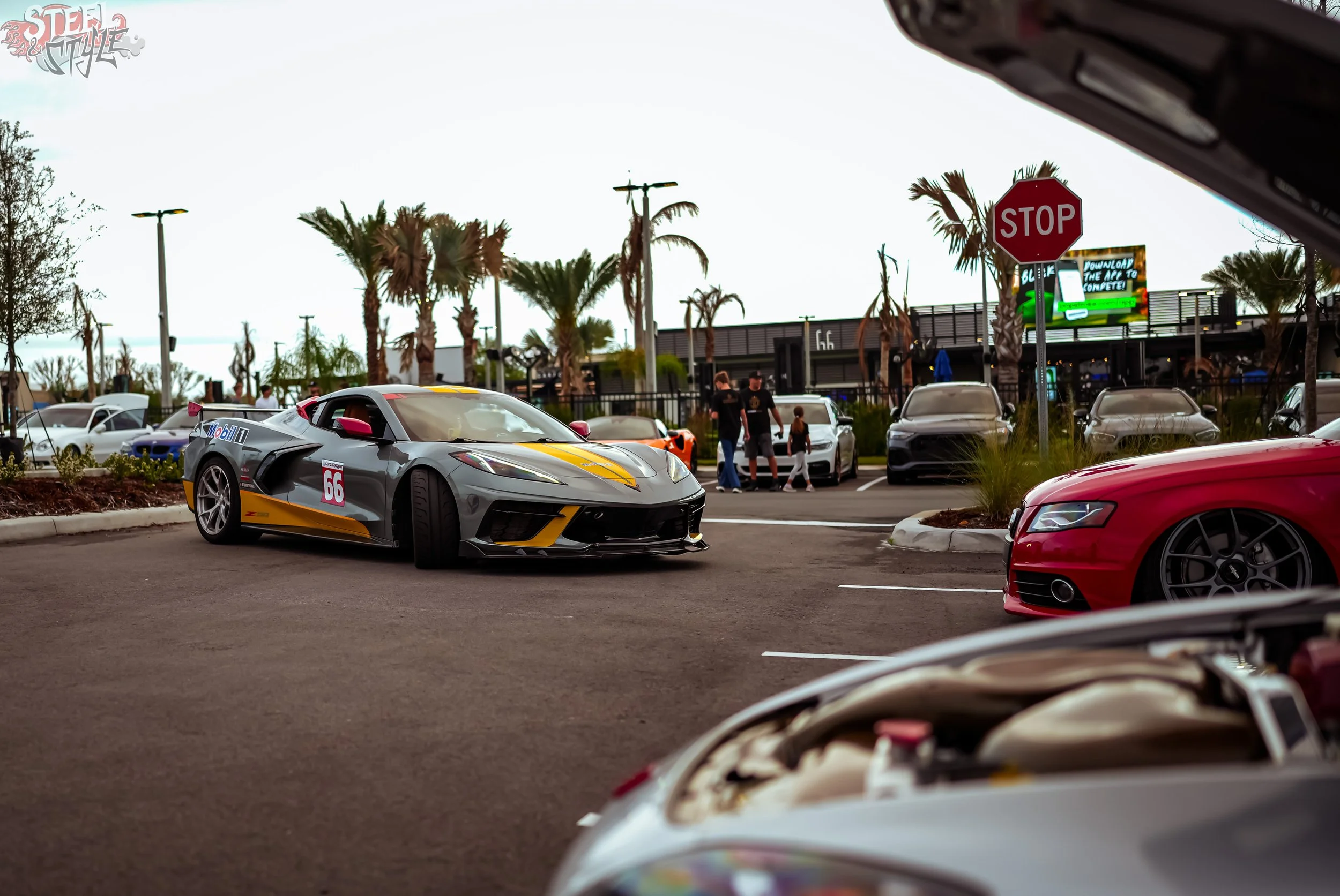 Street Drip March 2026-11.jpg