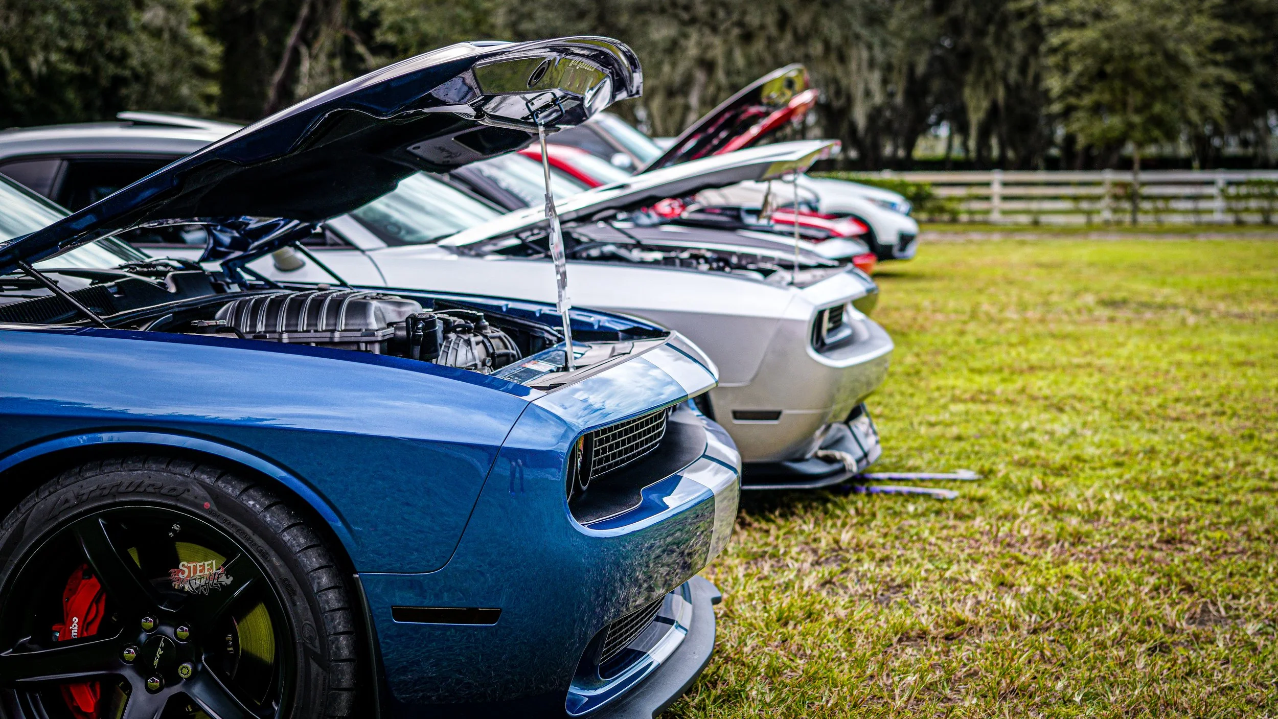 Lineup of classic muscle cars with hoods open, parked on grass in a row.