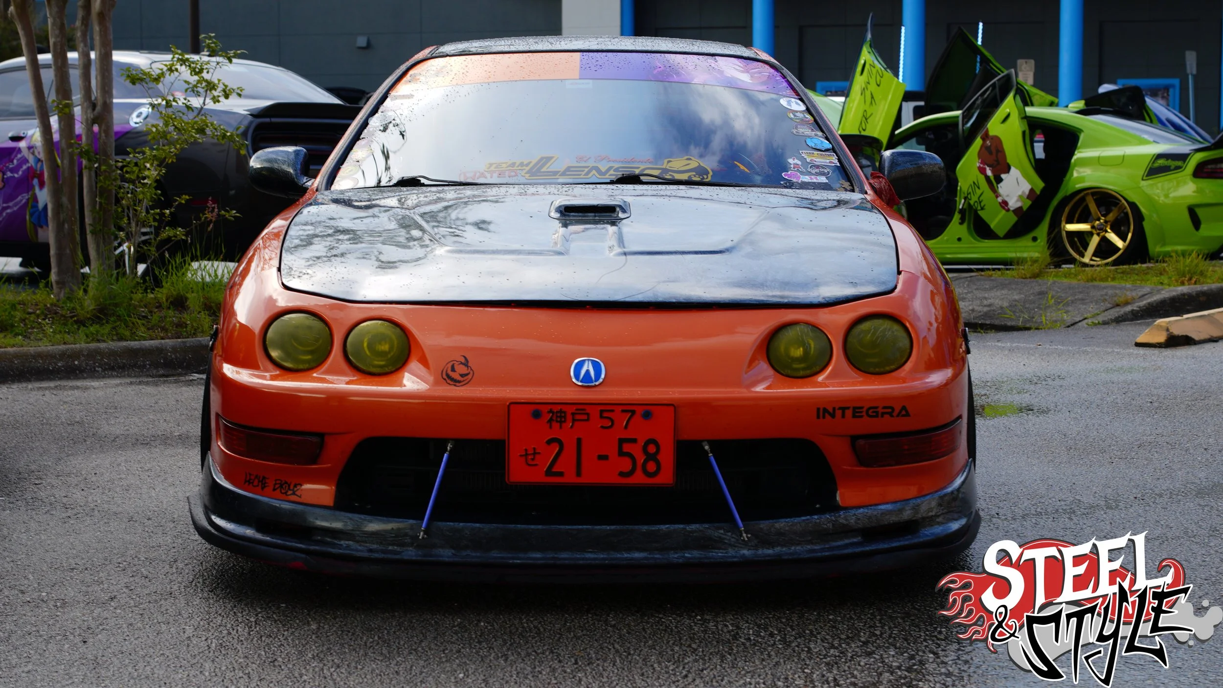 DSC09187.jpg