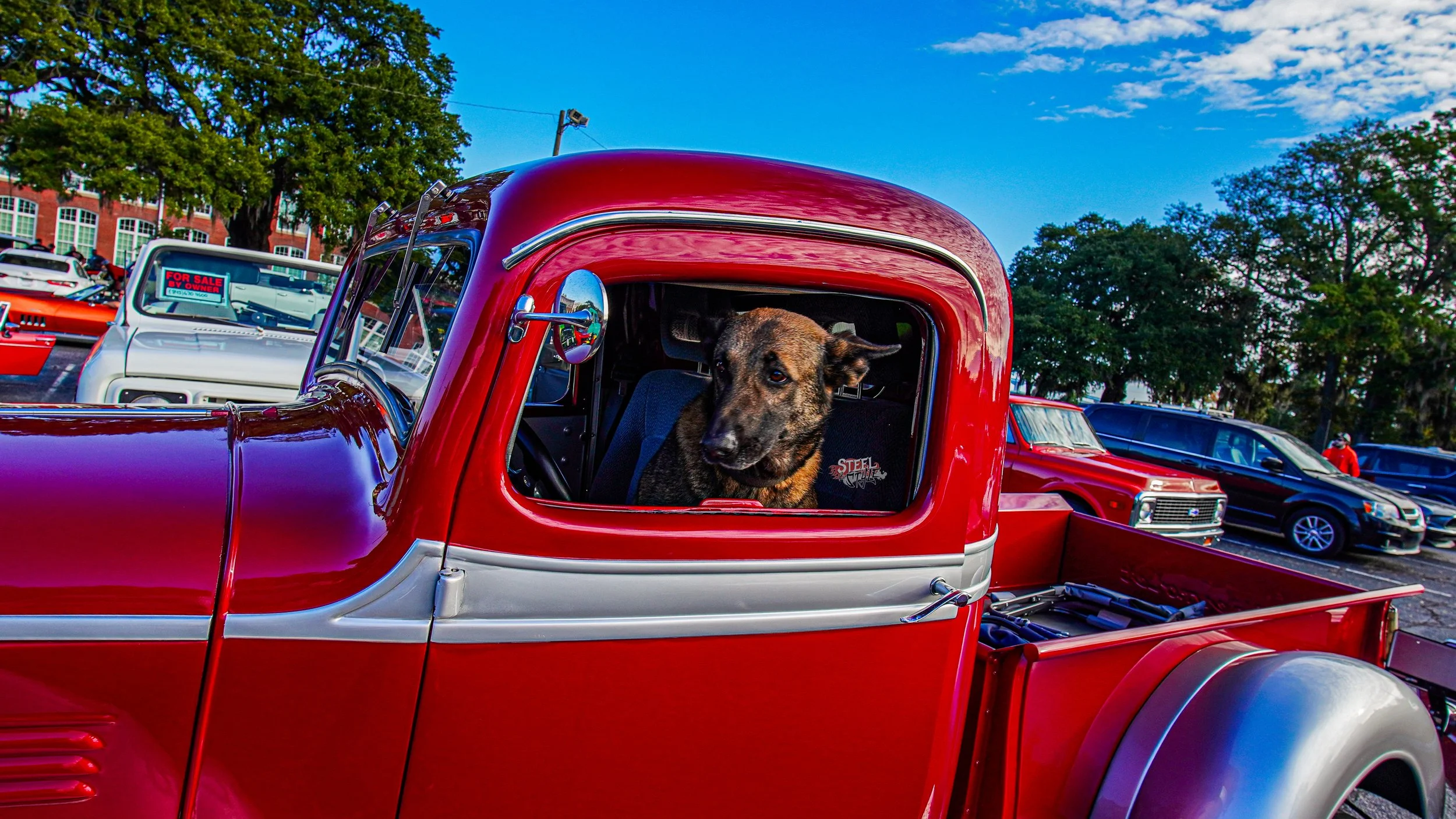 A dog sitting in the driver's seat of a vintage red pickup truck at a car show parking lot.