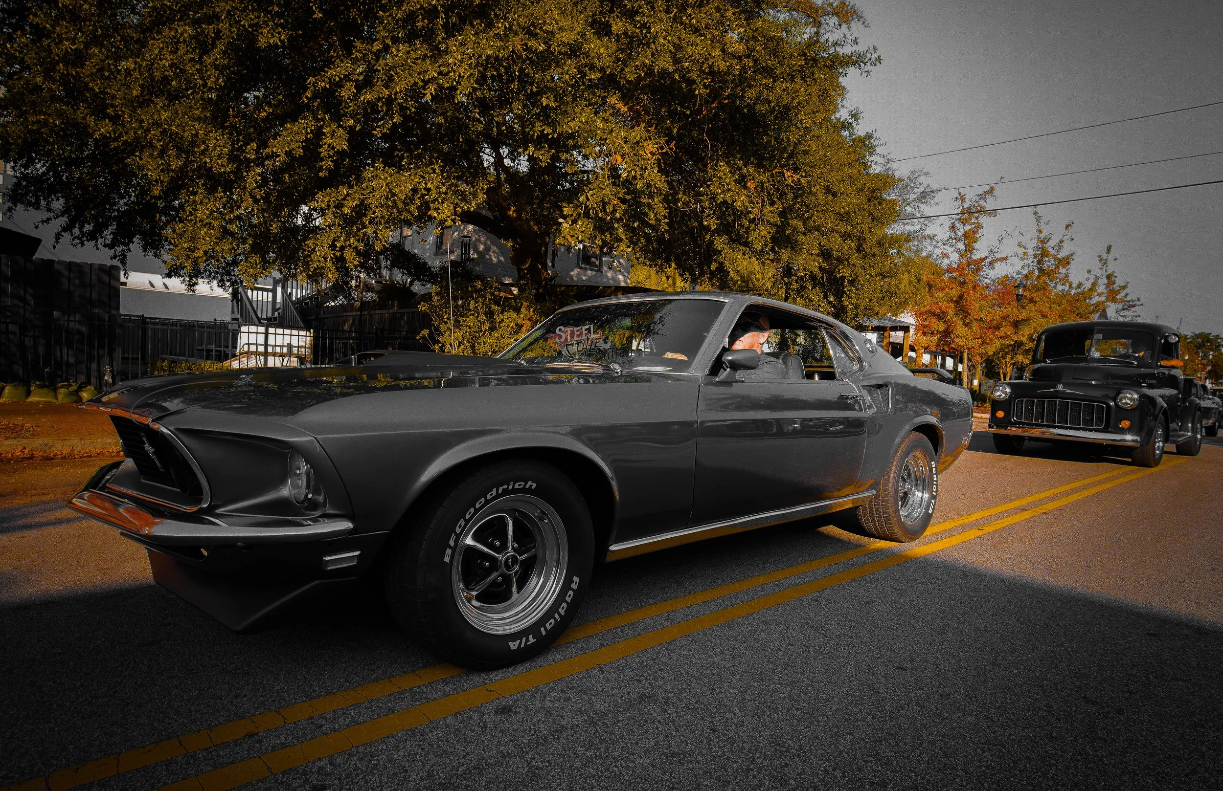 A classic black muscle car with a man inside, driving on a street lined with large autumn trees and other vintage vehicles, during daytime.