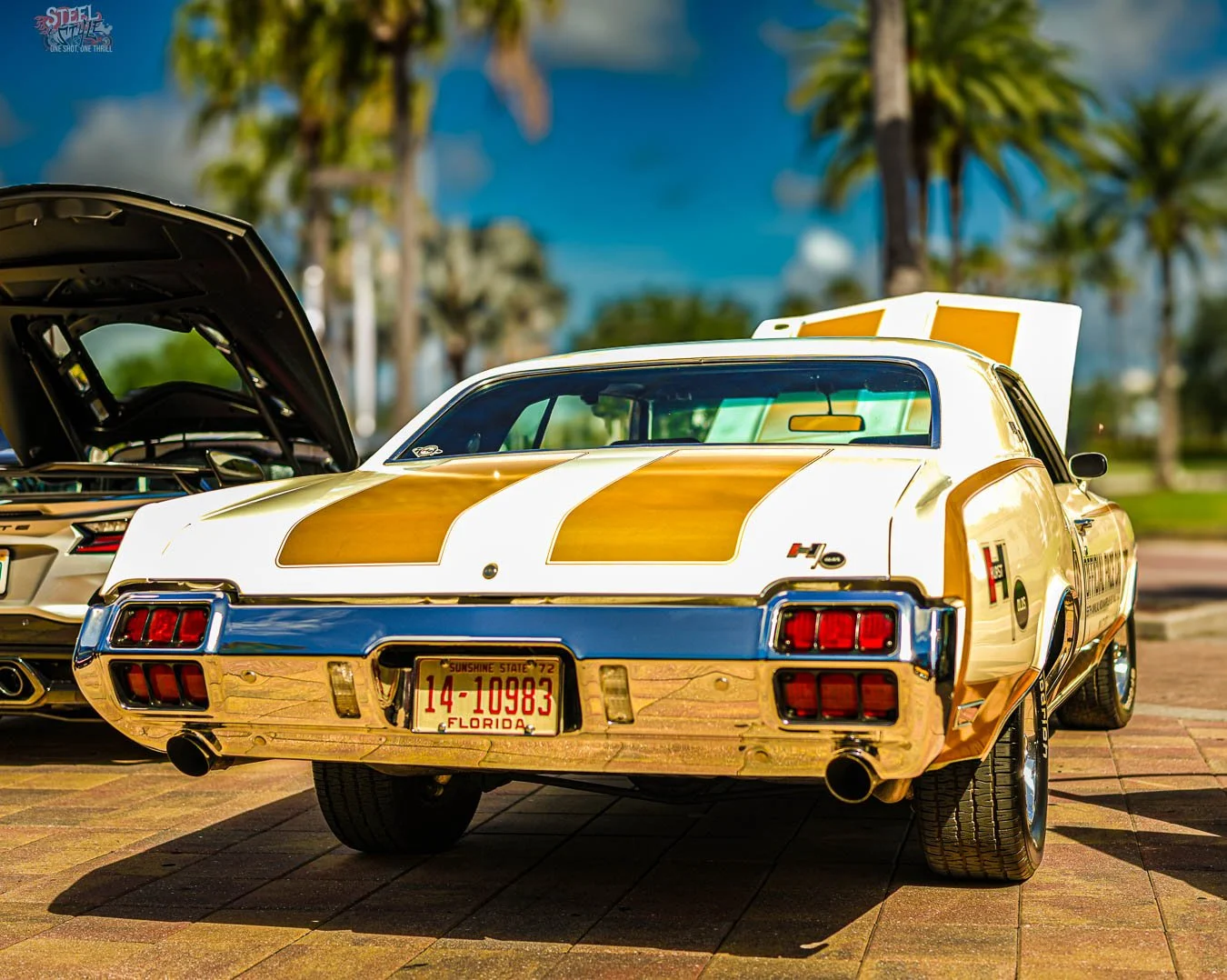 Dad Bod's Car Show Dezerland Park Orlando  une 2026-23.jpg