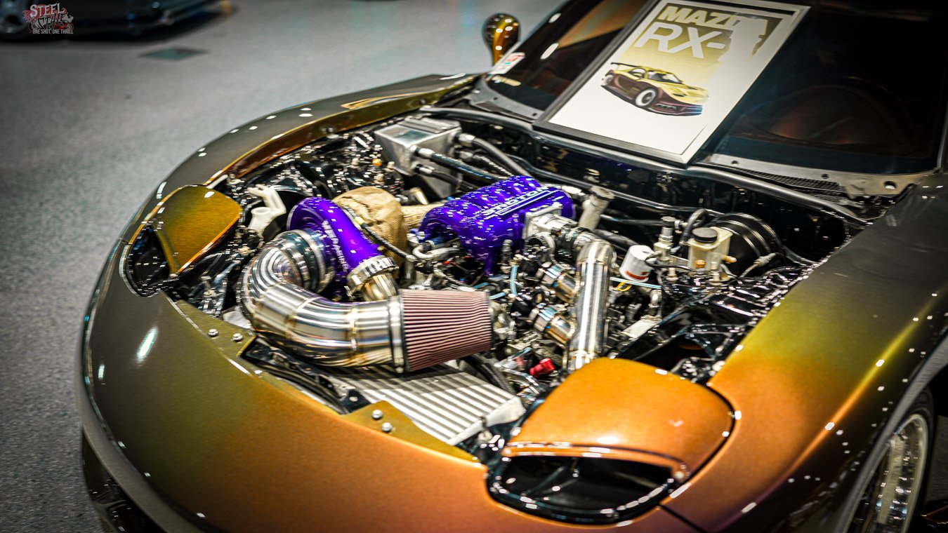 Import Evolution Tampa July 2026-2.jpg