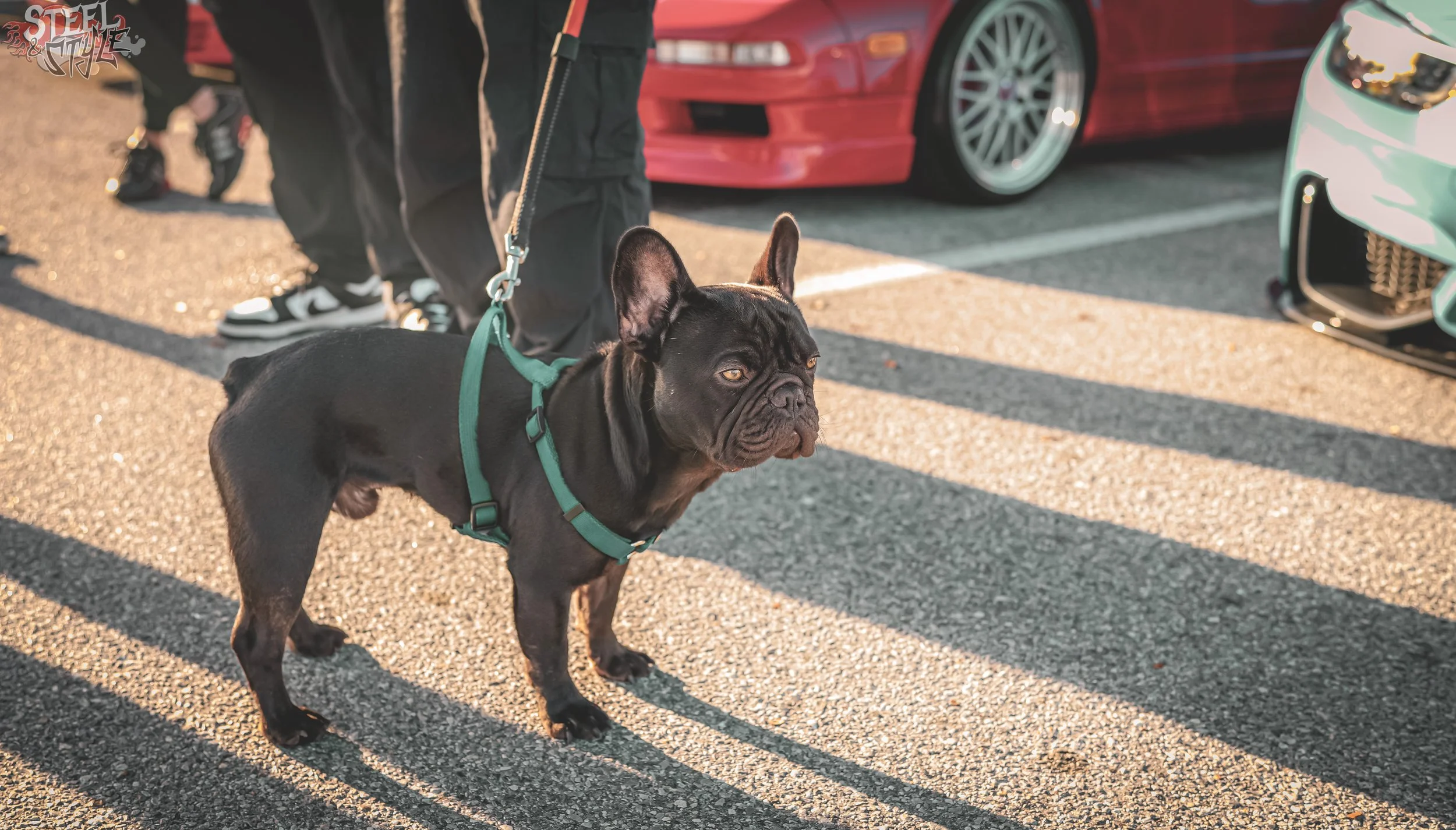 Orlando Cars & Coffee March 8 2026-45.jpg