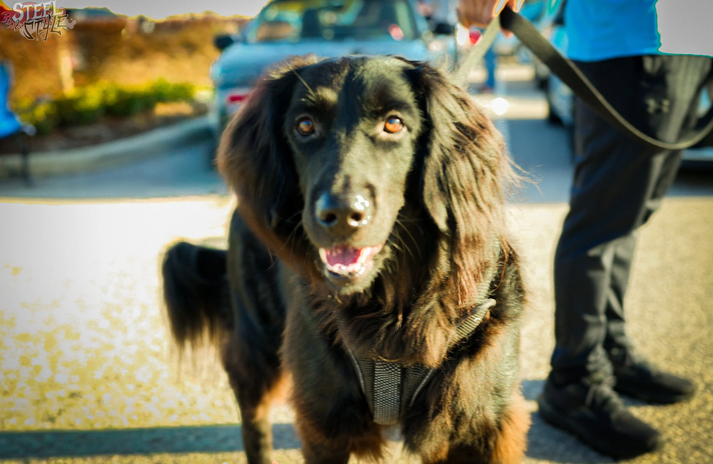 Orlando Cars & Coffee March 8 2026-47.jpg