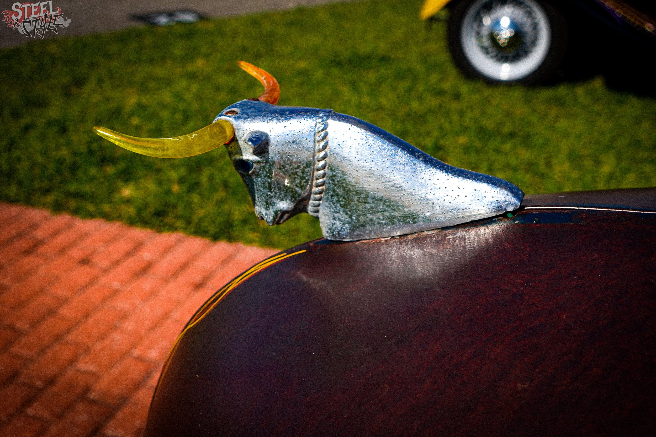 Daytona Turkey Run March 2026 Day 2-131.jpg