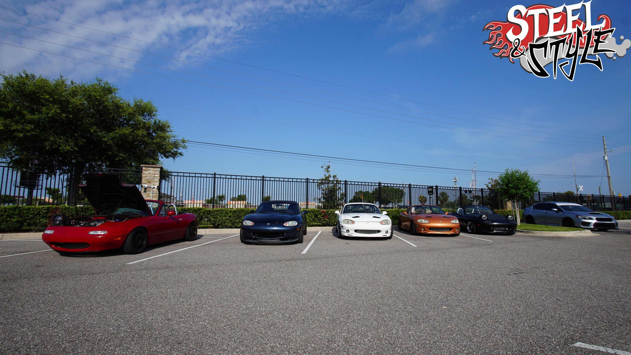 DSC07728.jpg