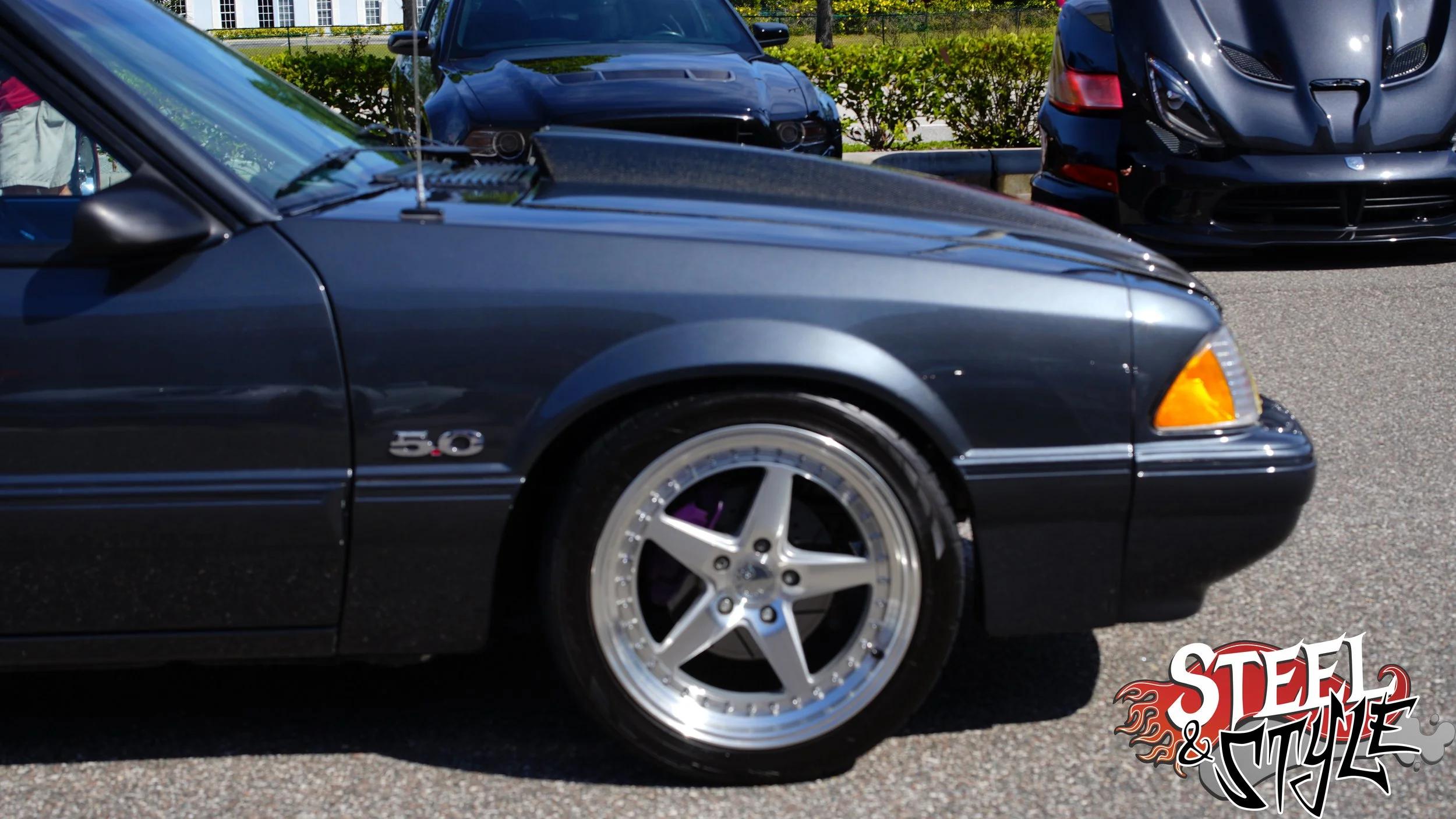 DSC08889.jpg