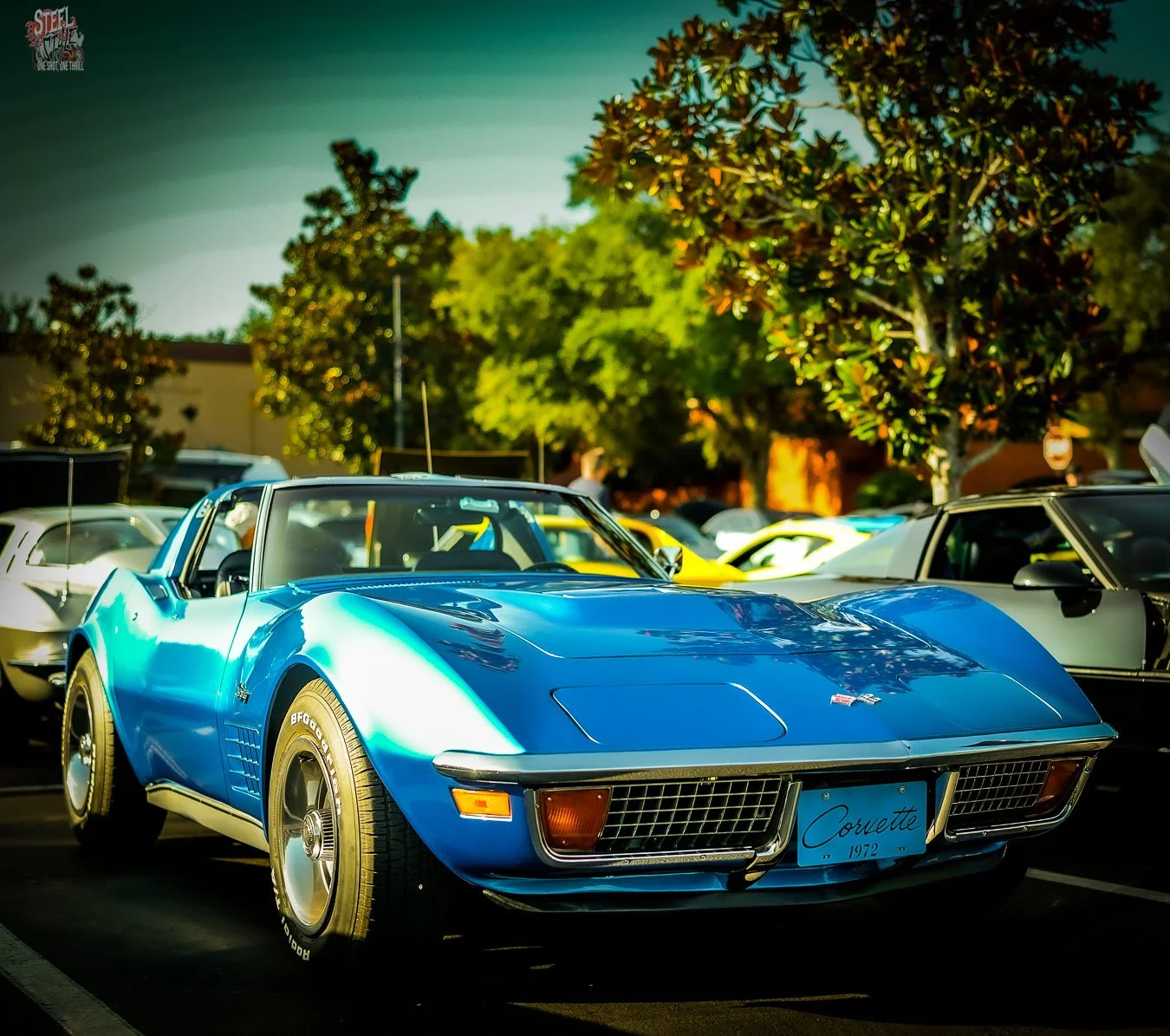Winter Garden Cars and Coffee June 2026-65.jpg