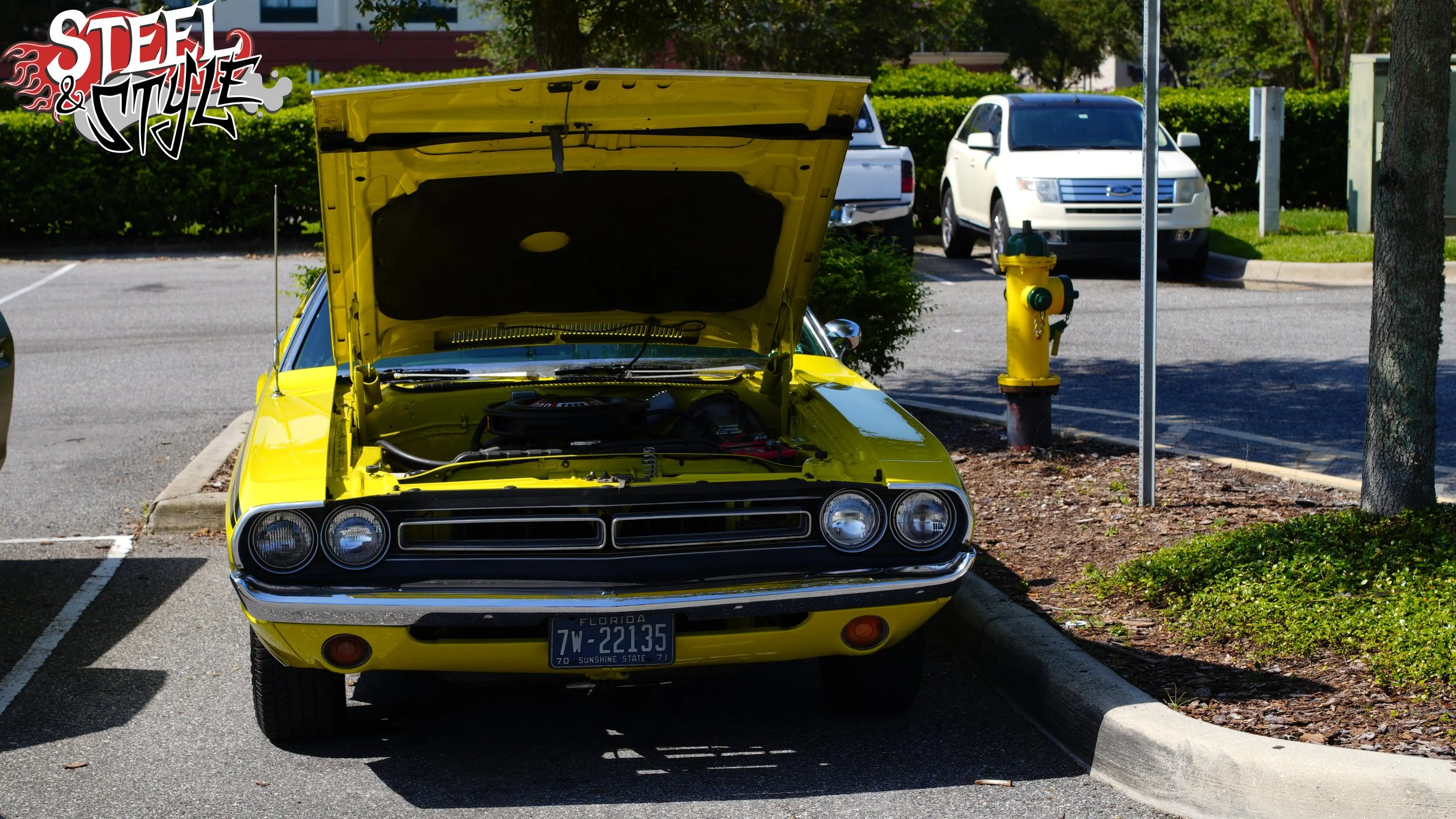 DSC09685.jpg