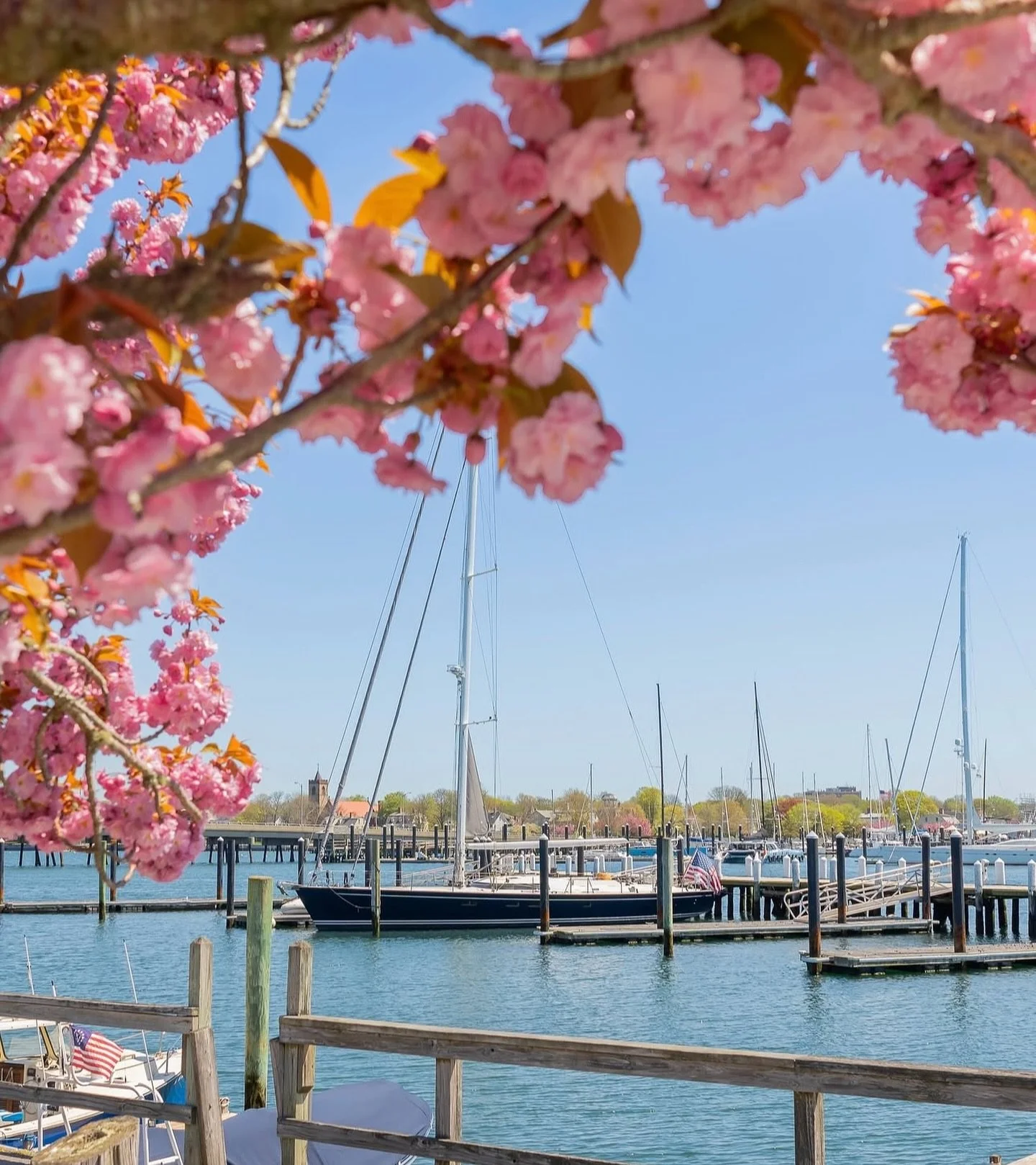 May in Newport, Rhode Island is lovely

@photobyshannon