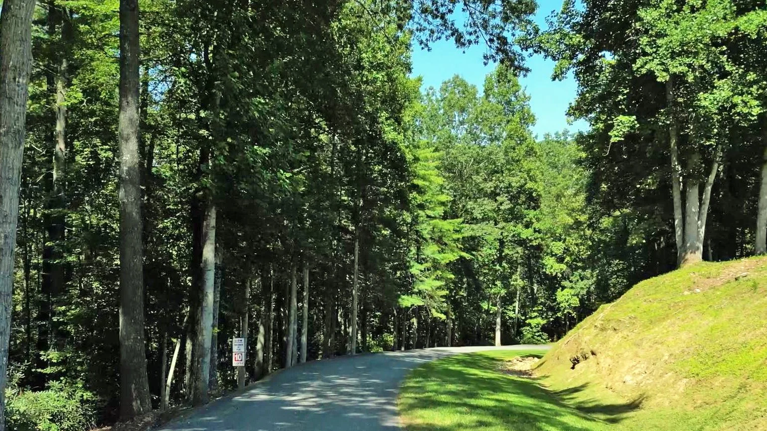 Driveway.JPG