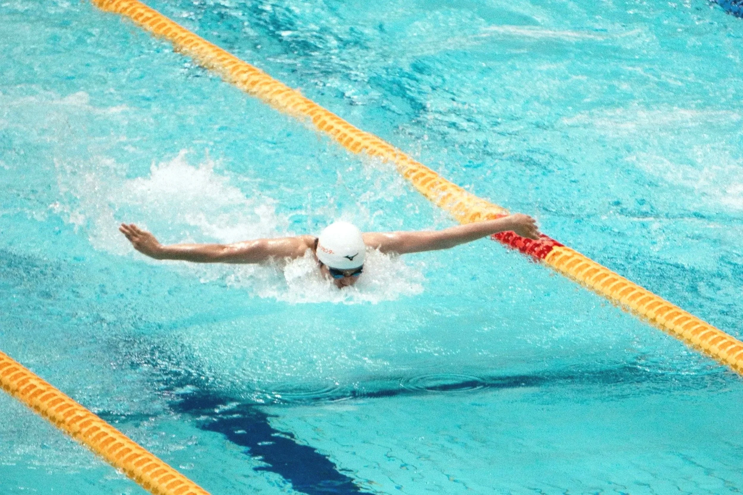 A swimmer doing the butterfly