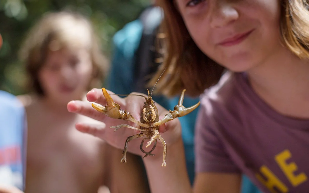 20160704-IMG_4294 copy.jpg