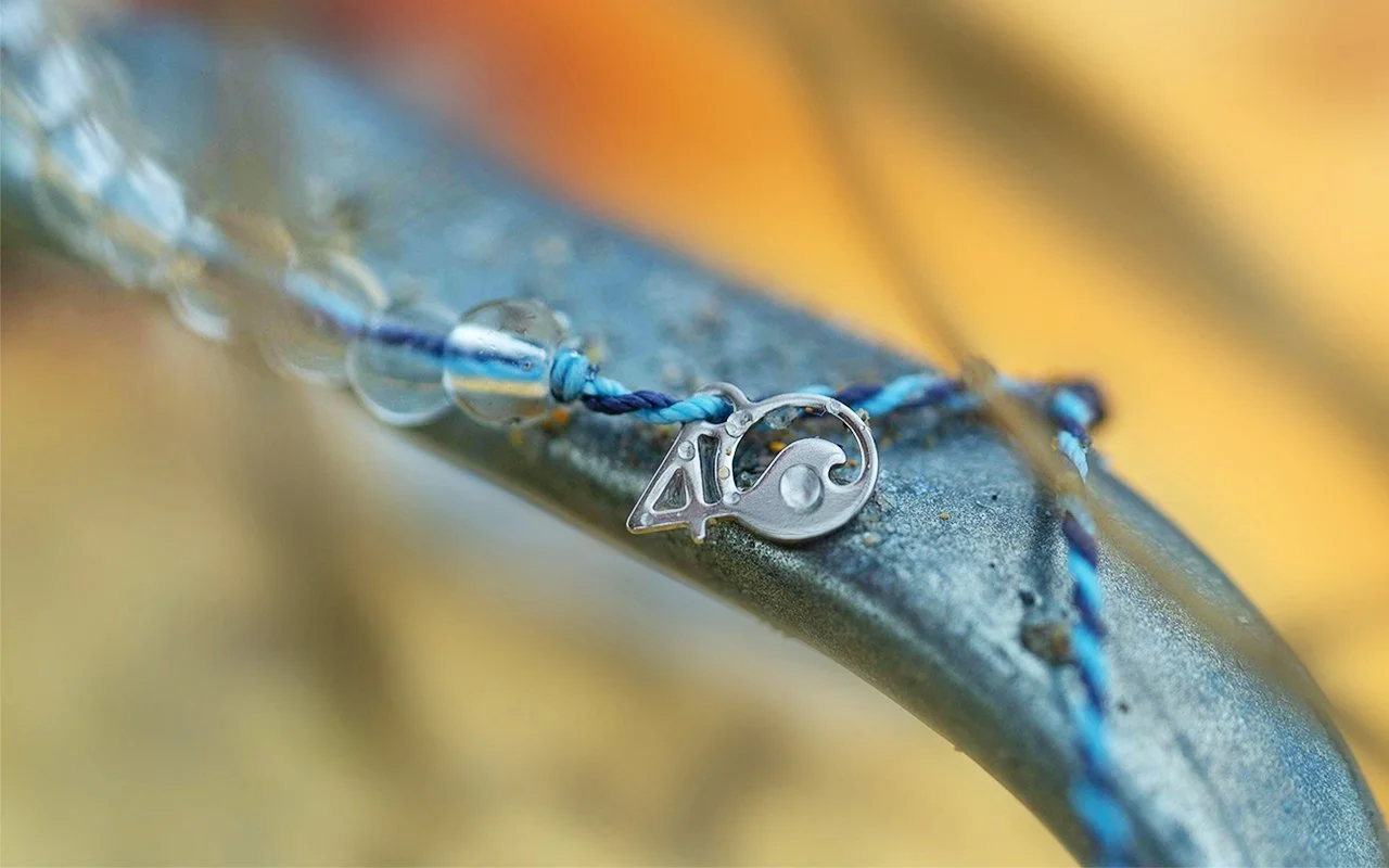 Macro-4.jpg