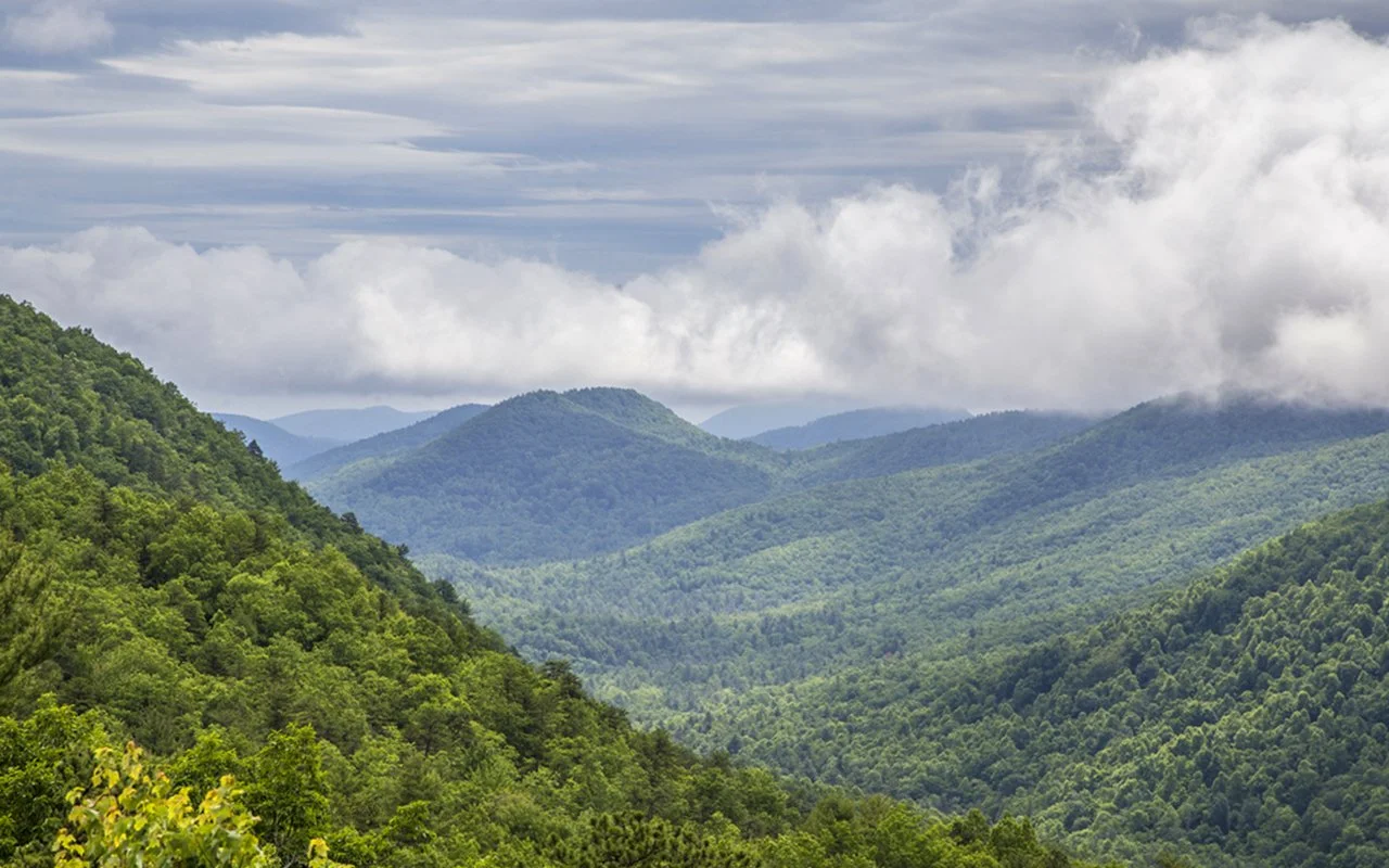 20160719_GRP_landscape_10.jpg
