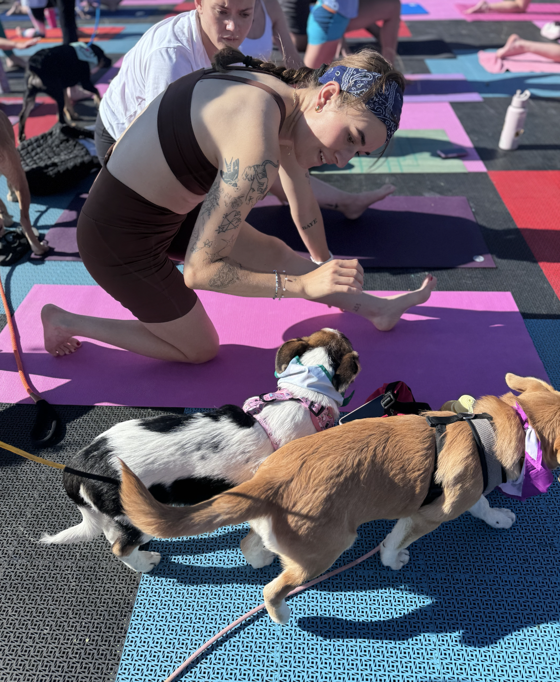 Rescue Puppy Yoga