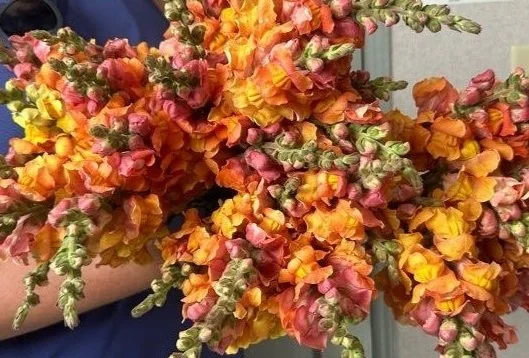 You Pick Bouquet Event