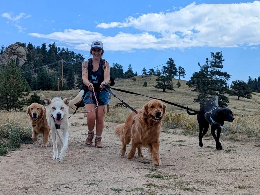 Hike Doggie Denver East