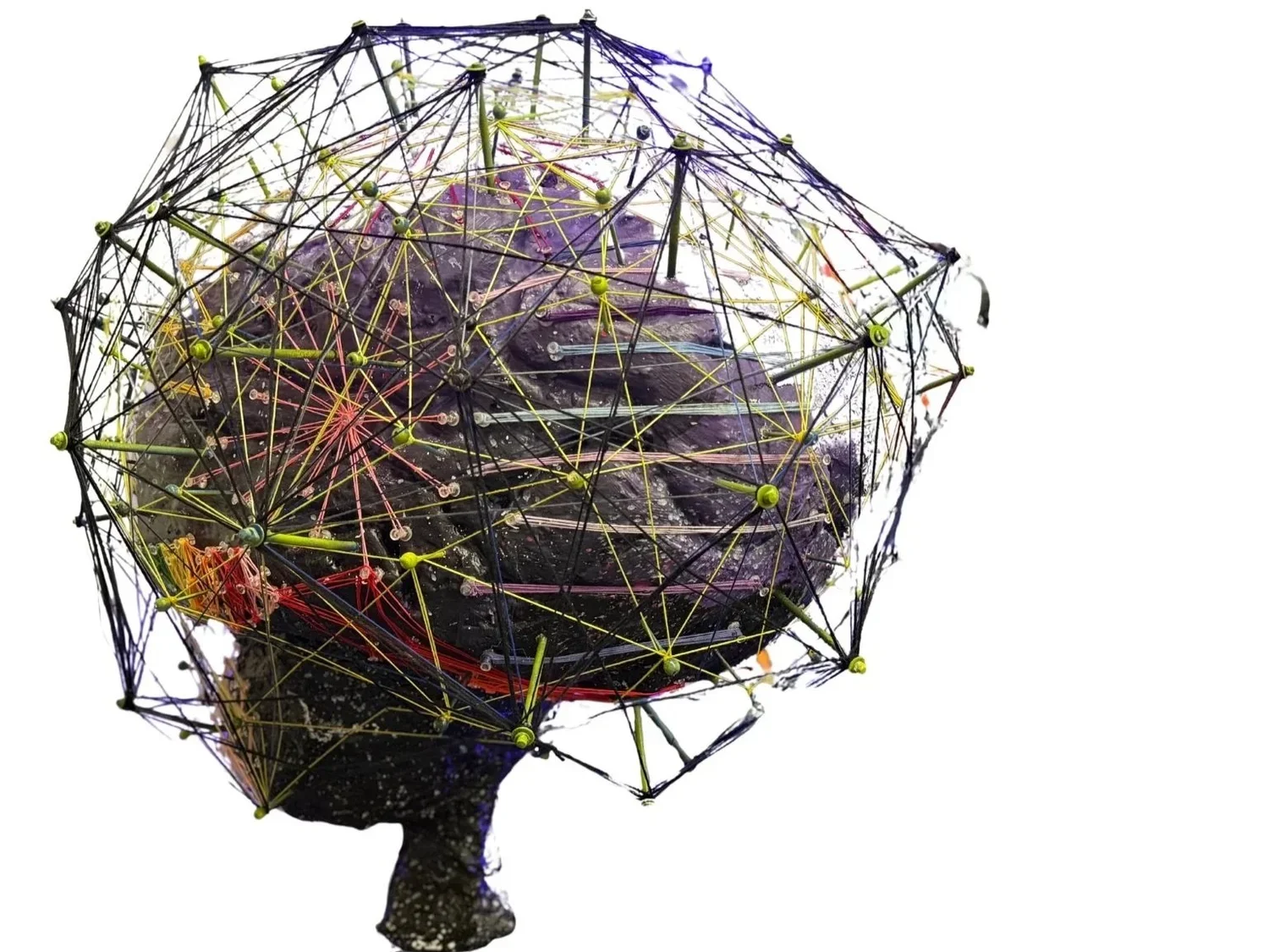 NeuroSculption Exhibit & Bidding