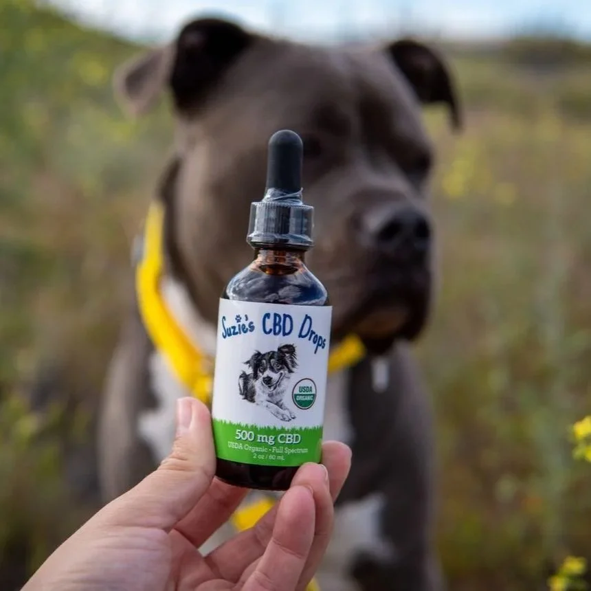 Susie's CBD Treat Pop-Up