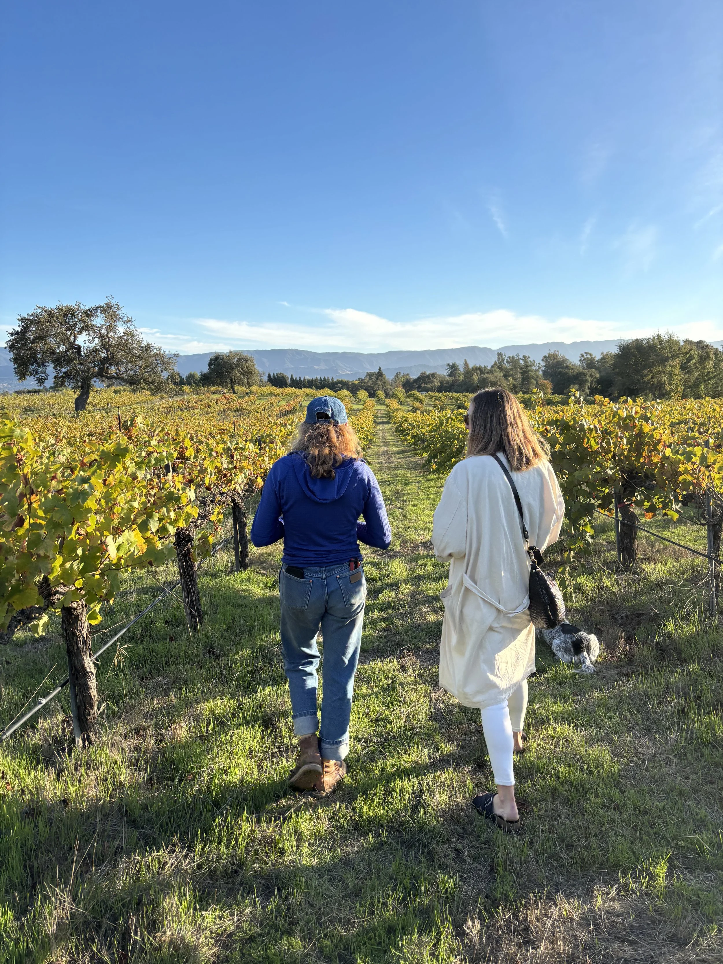 Amevive Wine Dinner at Annette