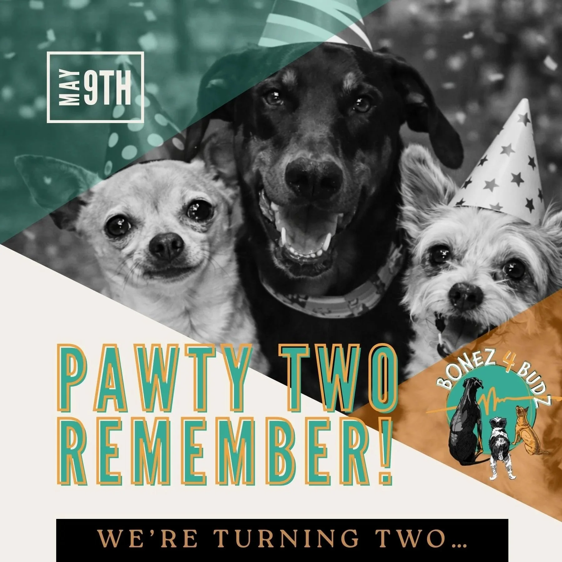 A Pawty Two Remember