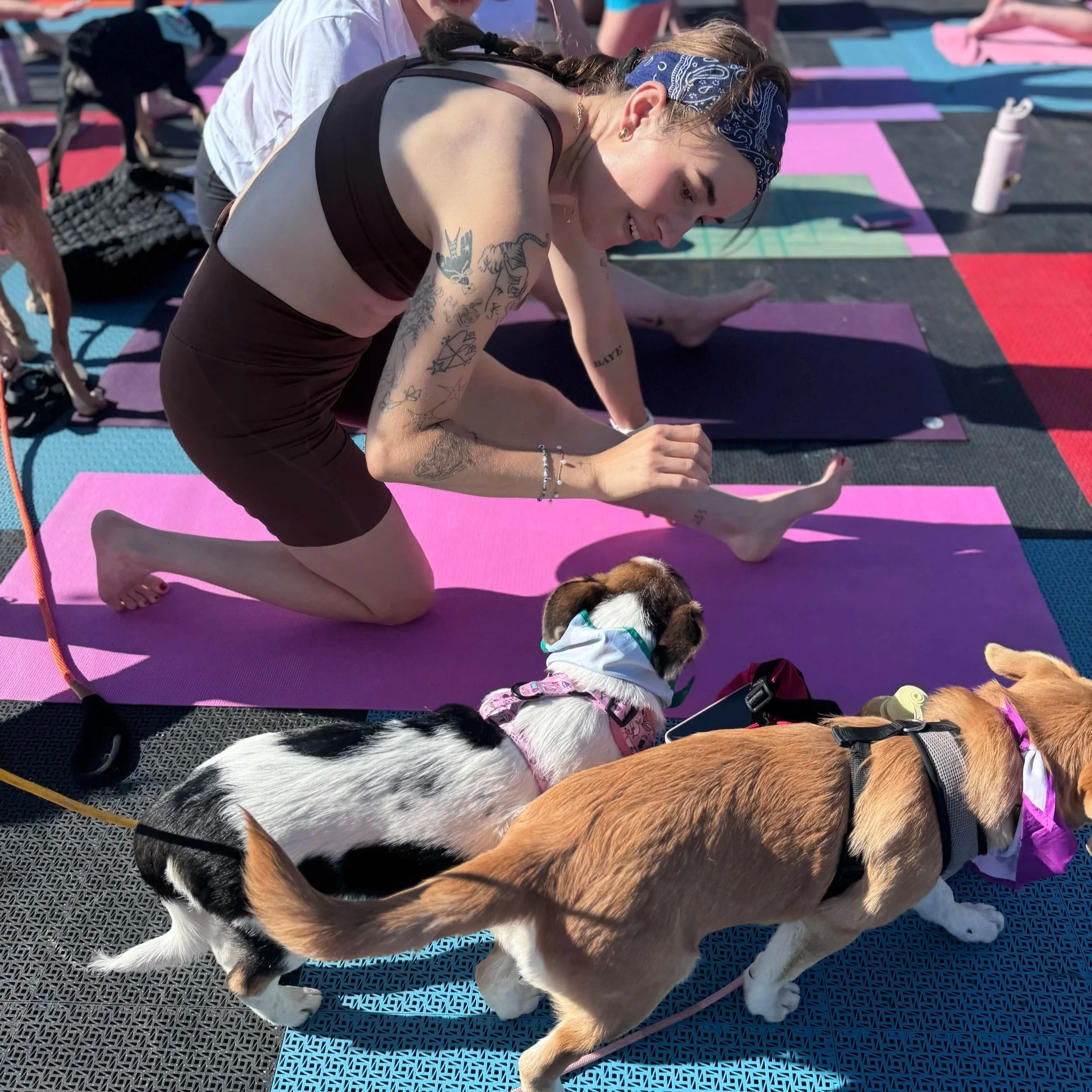 Summer Yoga Series: Puppy Yoga