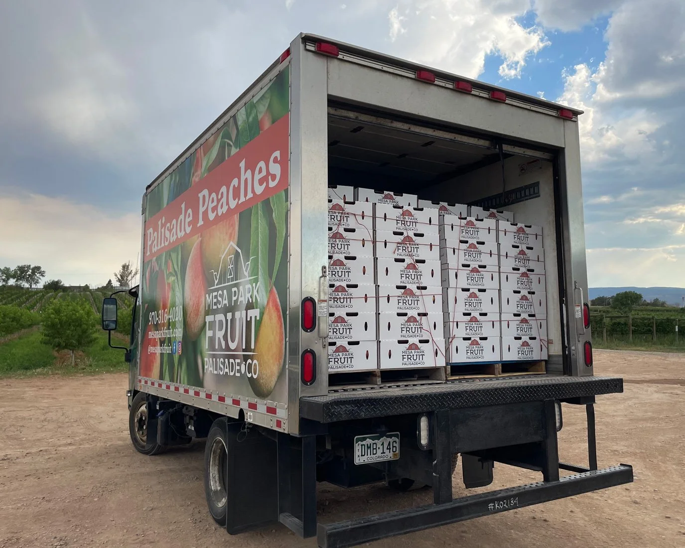 Fresh Palisade Peaches at Stanley