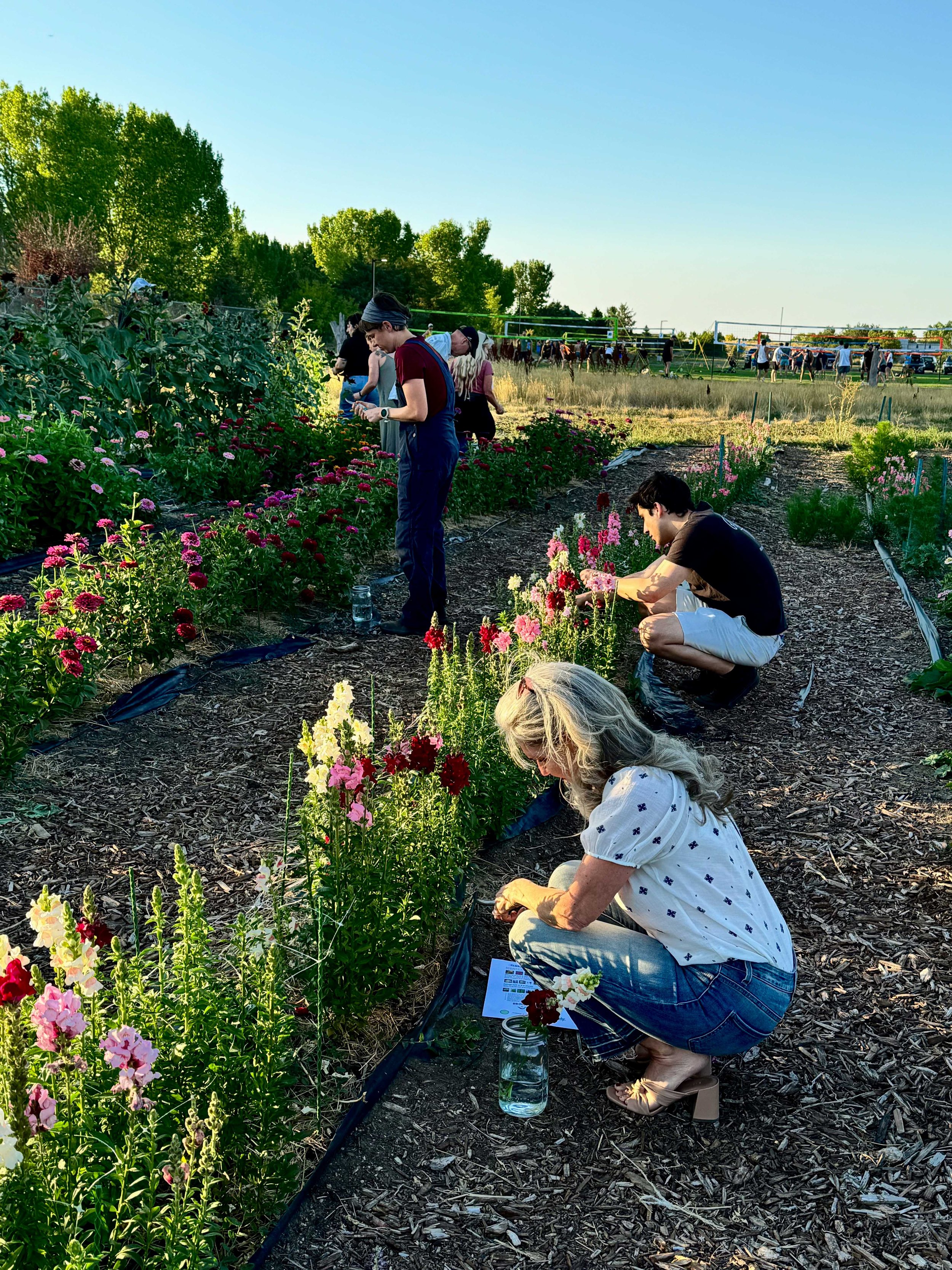 You Pick Bouquets | Village Farm