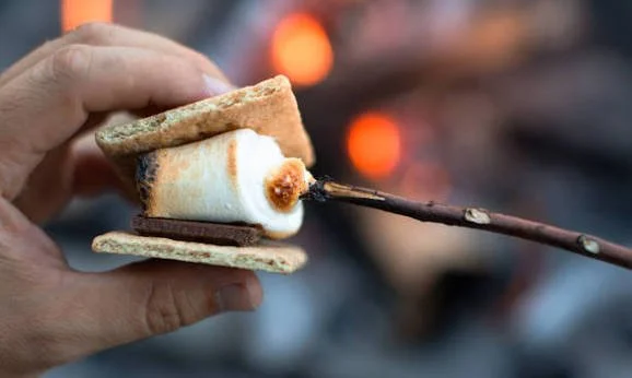 S'mores in the Field