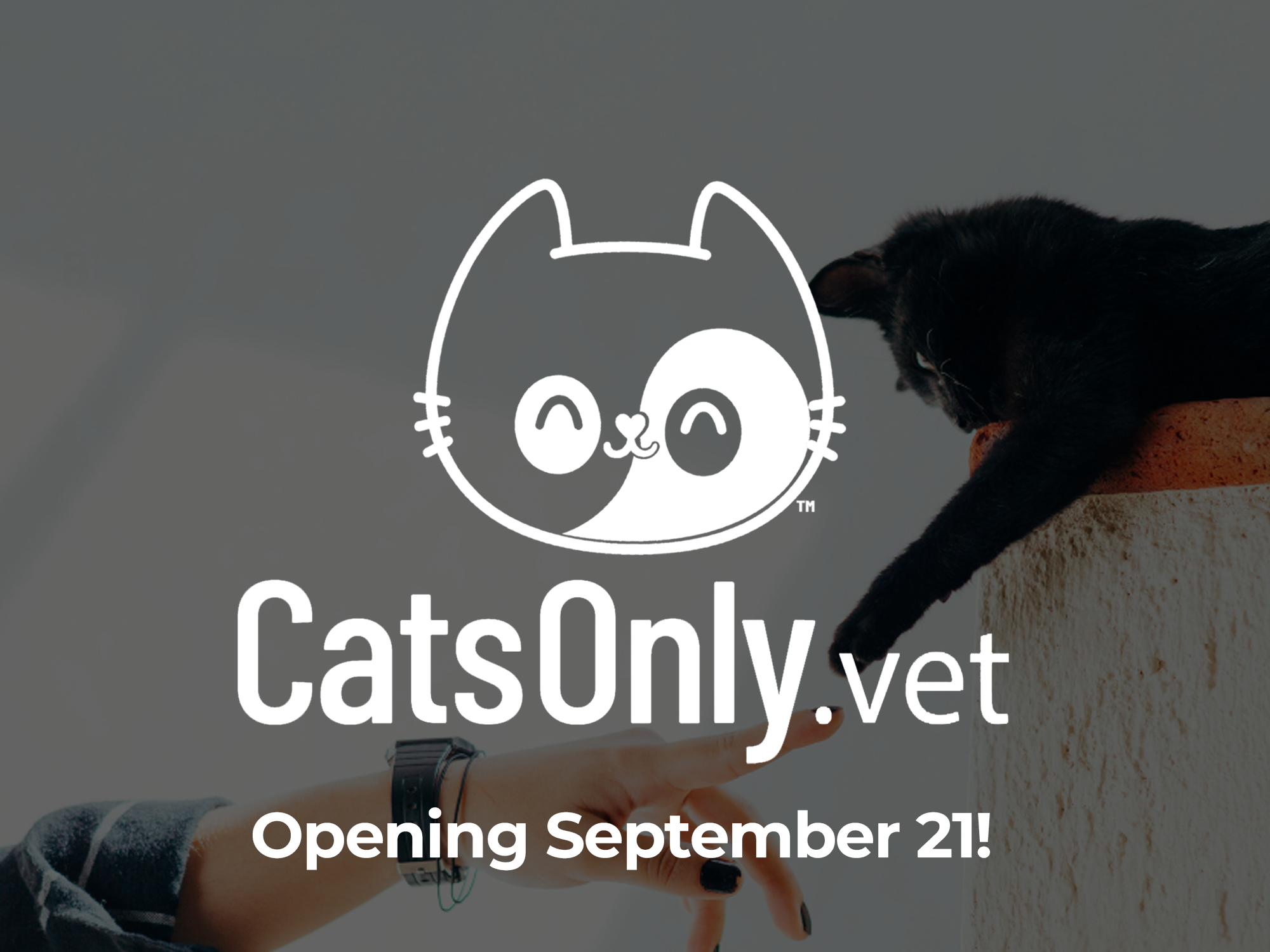 CatsOnly