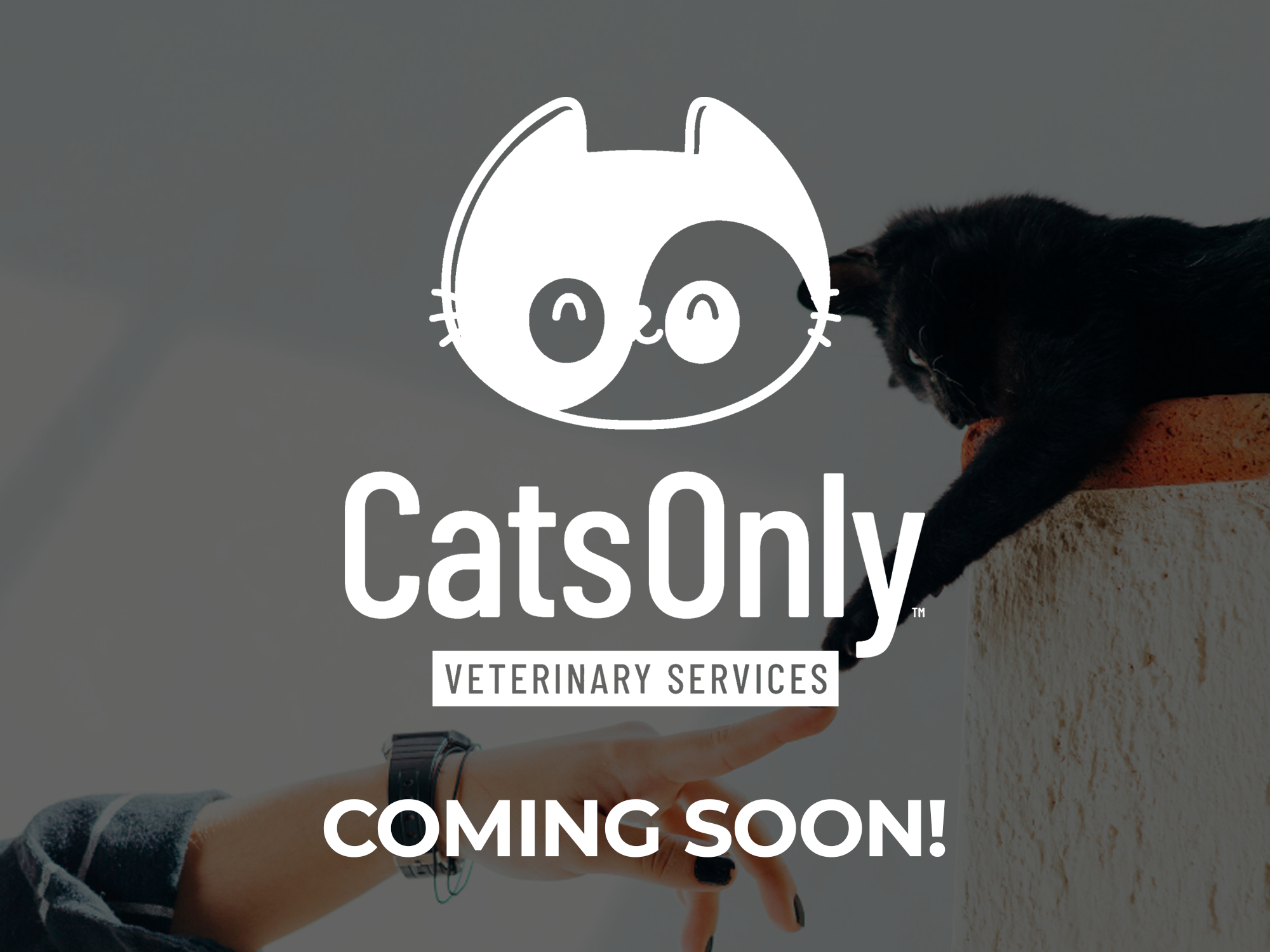 CatsOnly