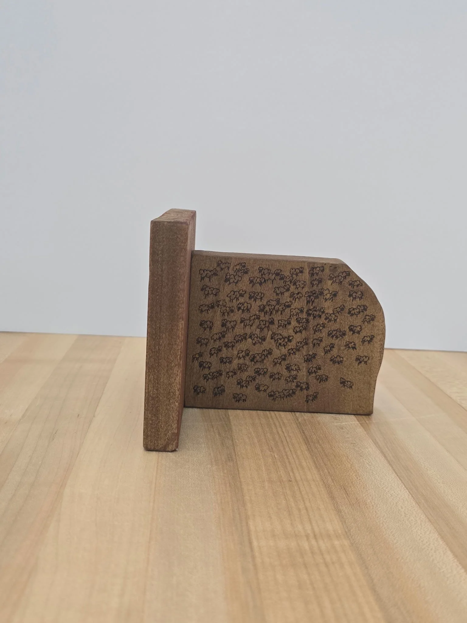 IMG_20260119_170026 (5).jpg