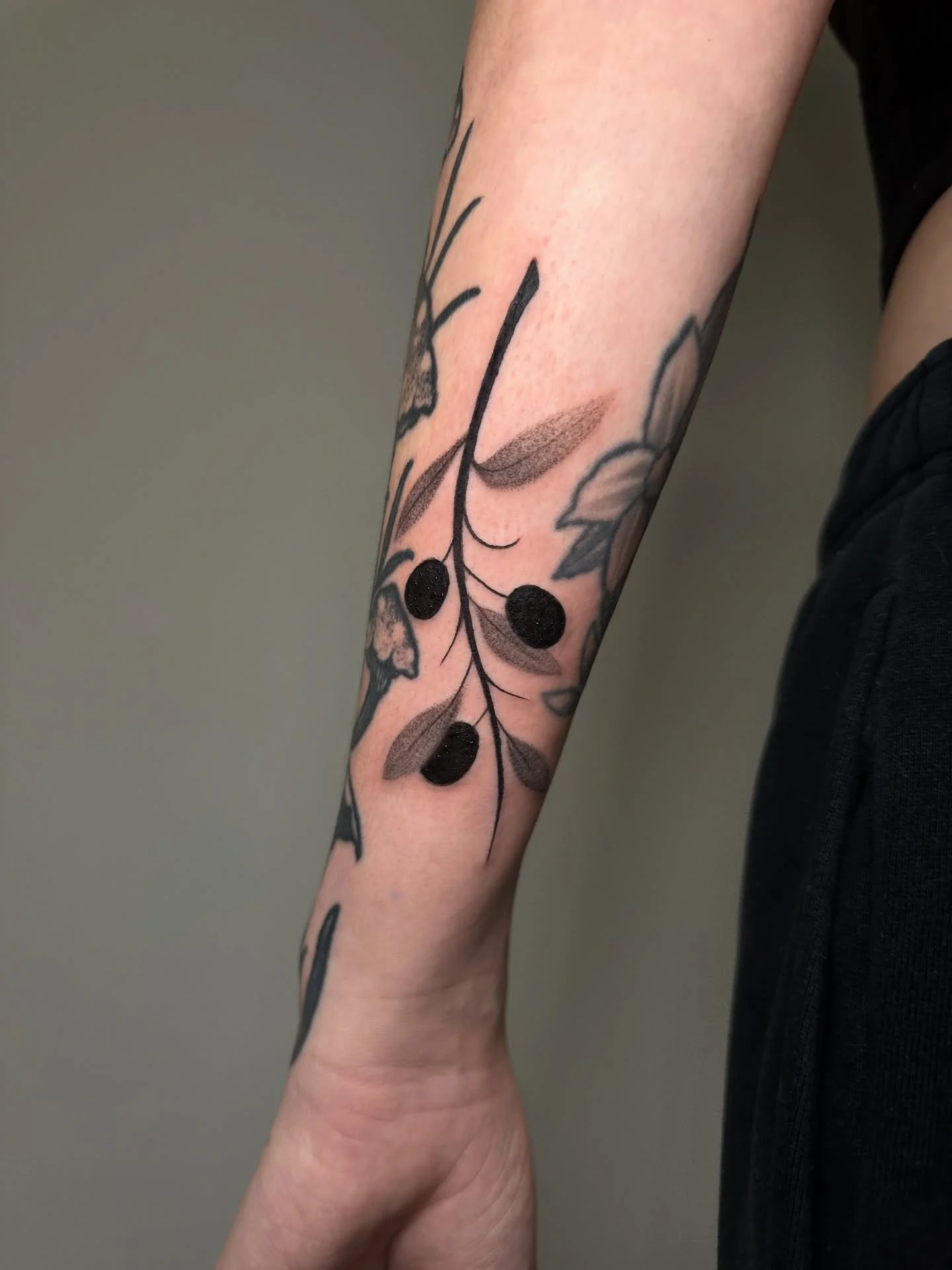 Olive branch 🕊️ 🇵🇸 🙏🏽