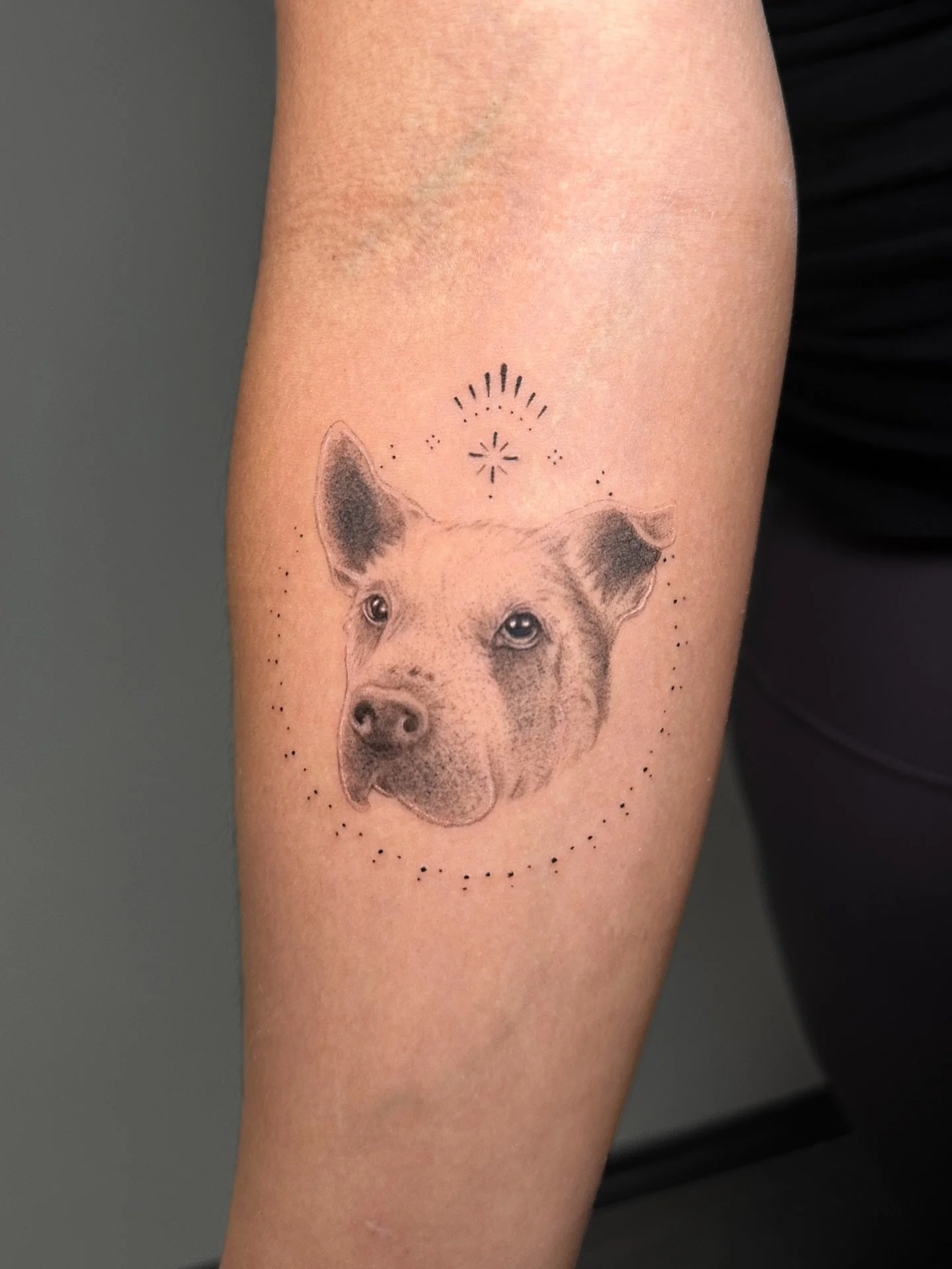 Thank you for coming to me for this memorial of coco 💜