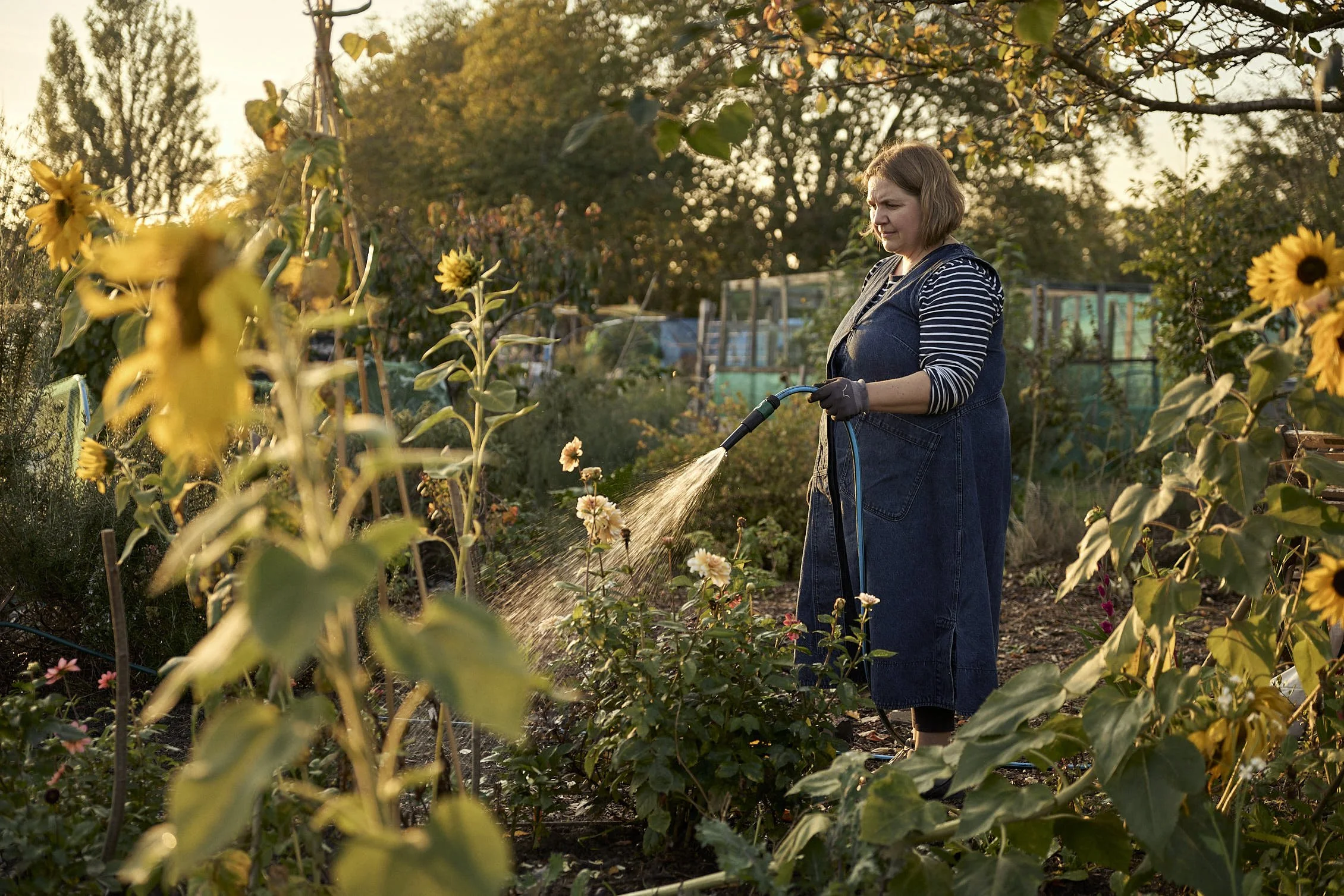 Allotment Life