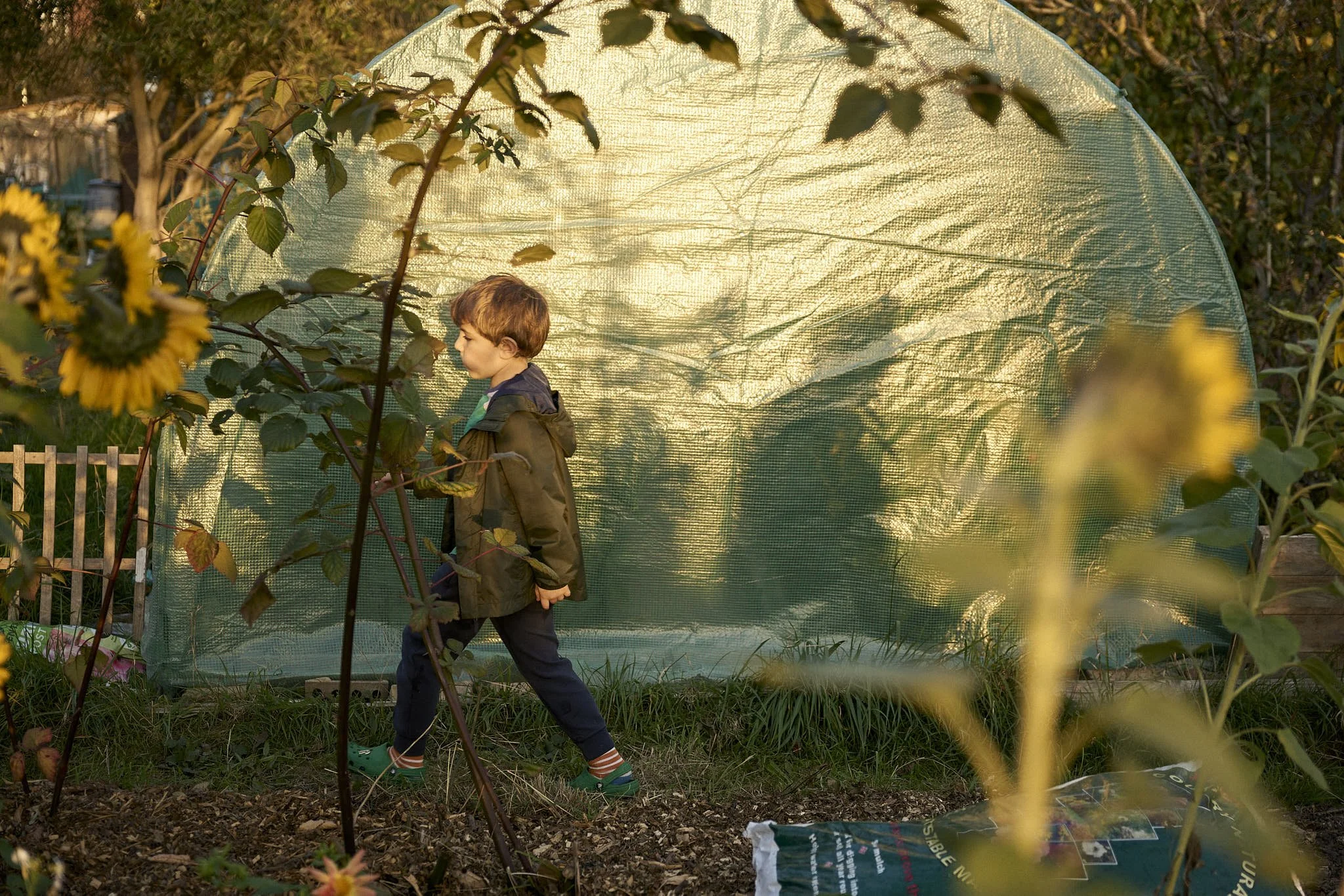 Allotment Life 4.jpg