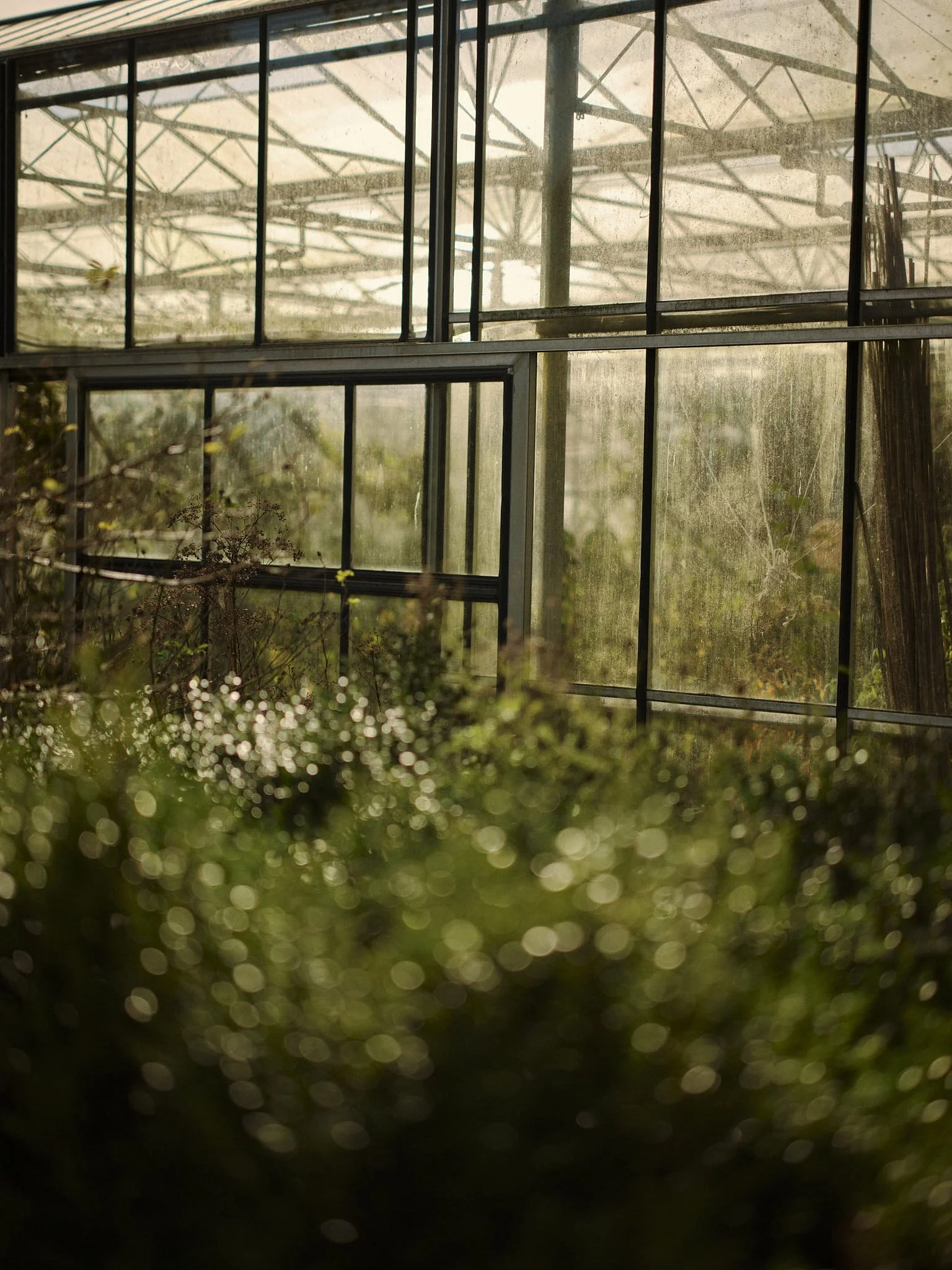 Worton Kitchen Garden0086.jpg
